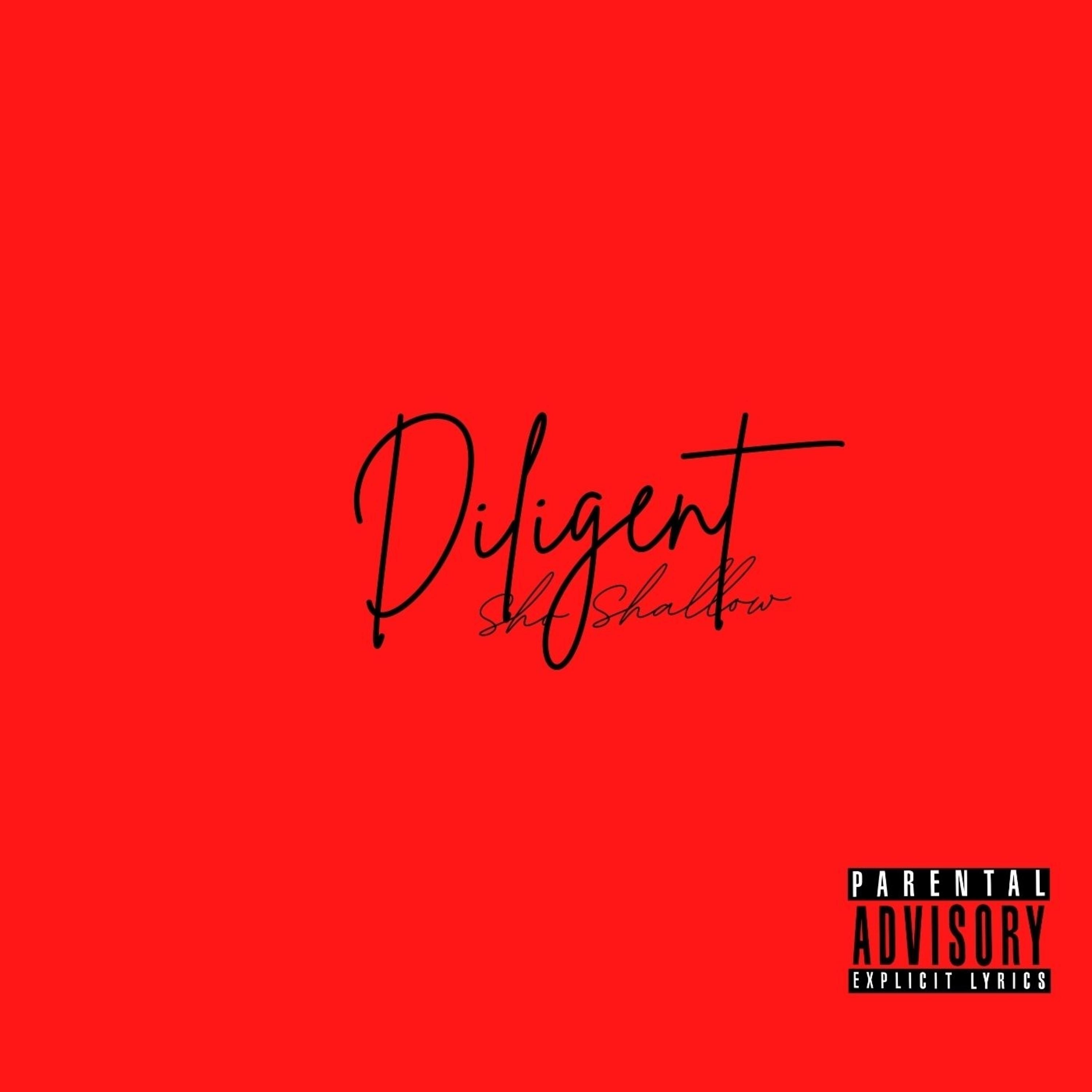 Постер альбома Diligent