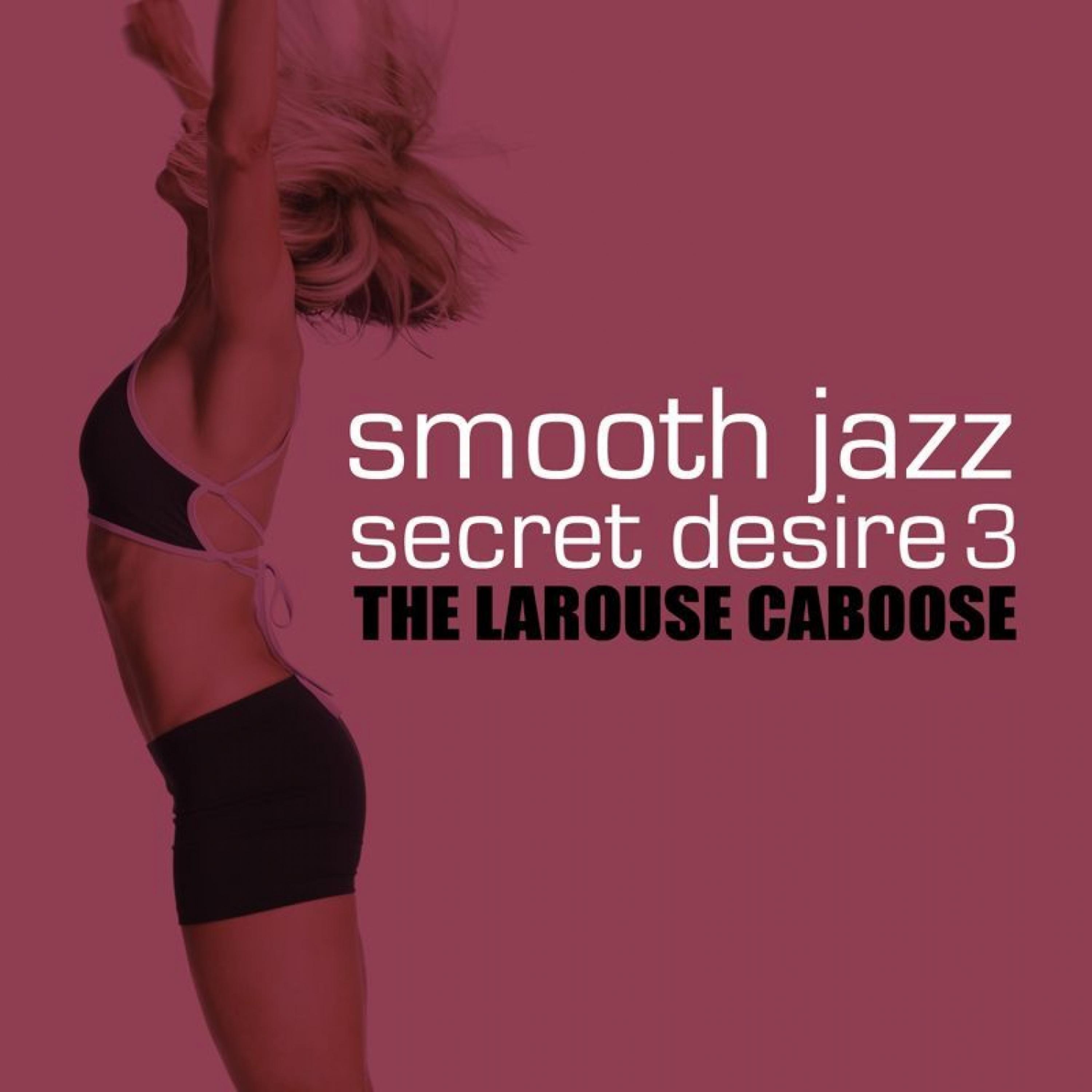 Постер альбома Smooth Jazz Secret Desire 3