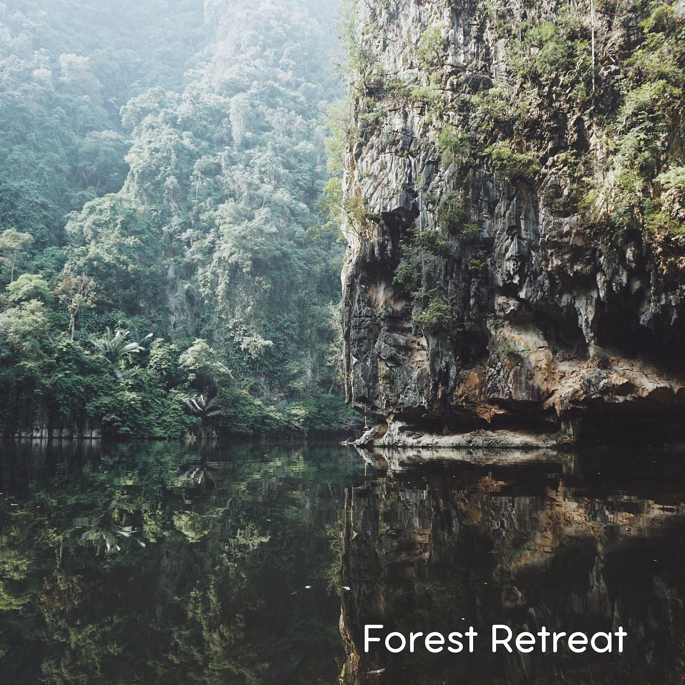 Постер альбома Forest Retreat