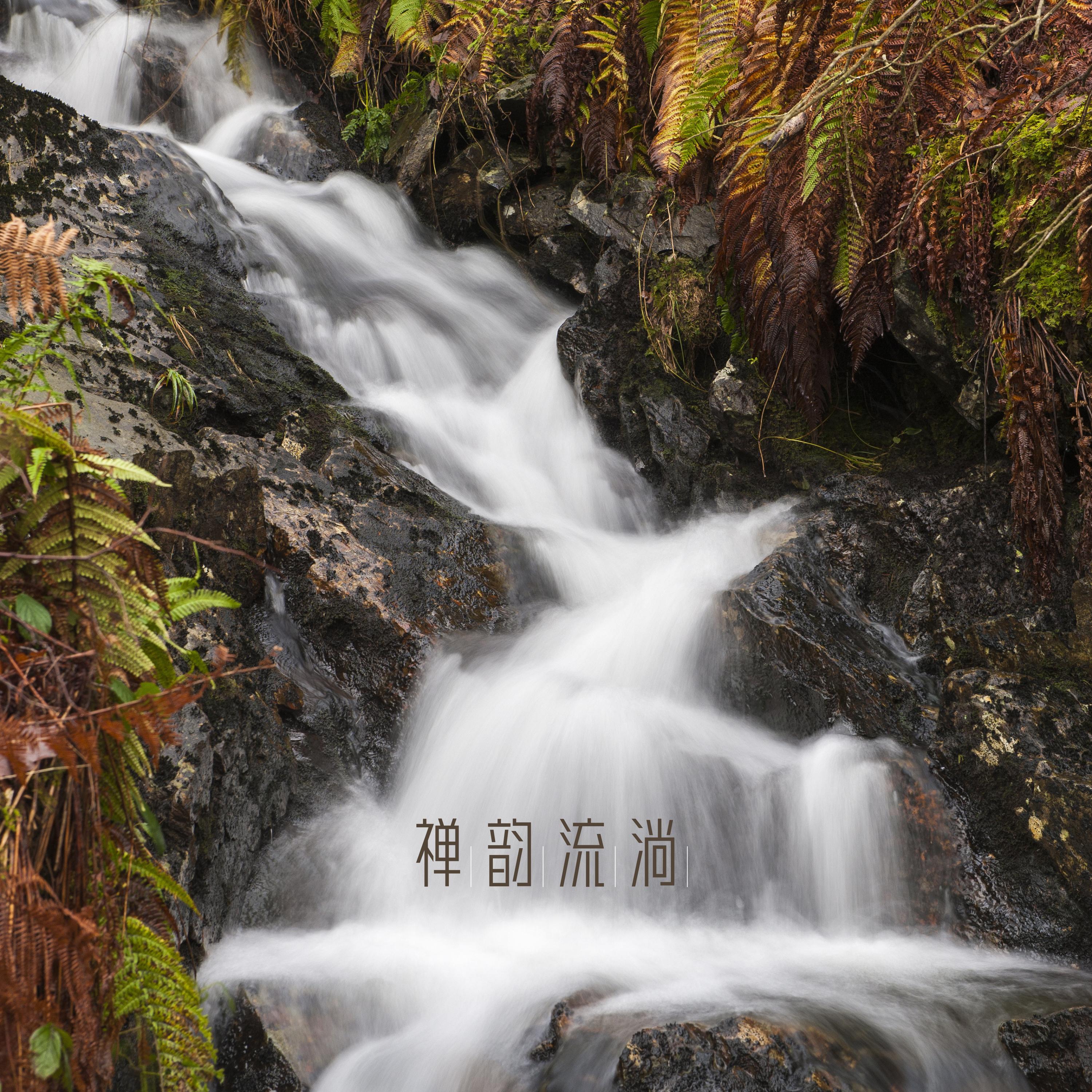 Постер альбома 禅韵流淌