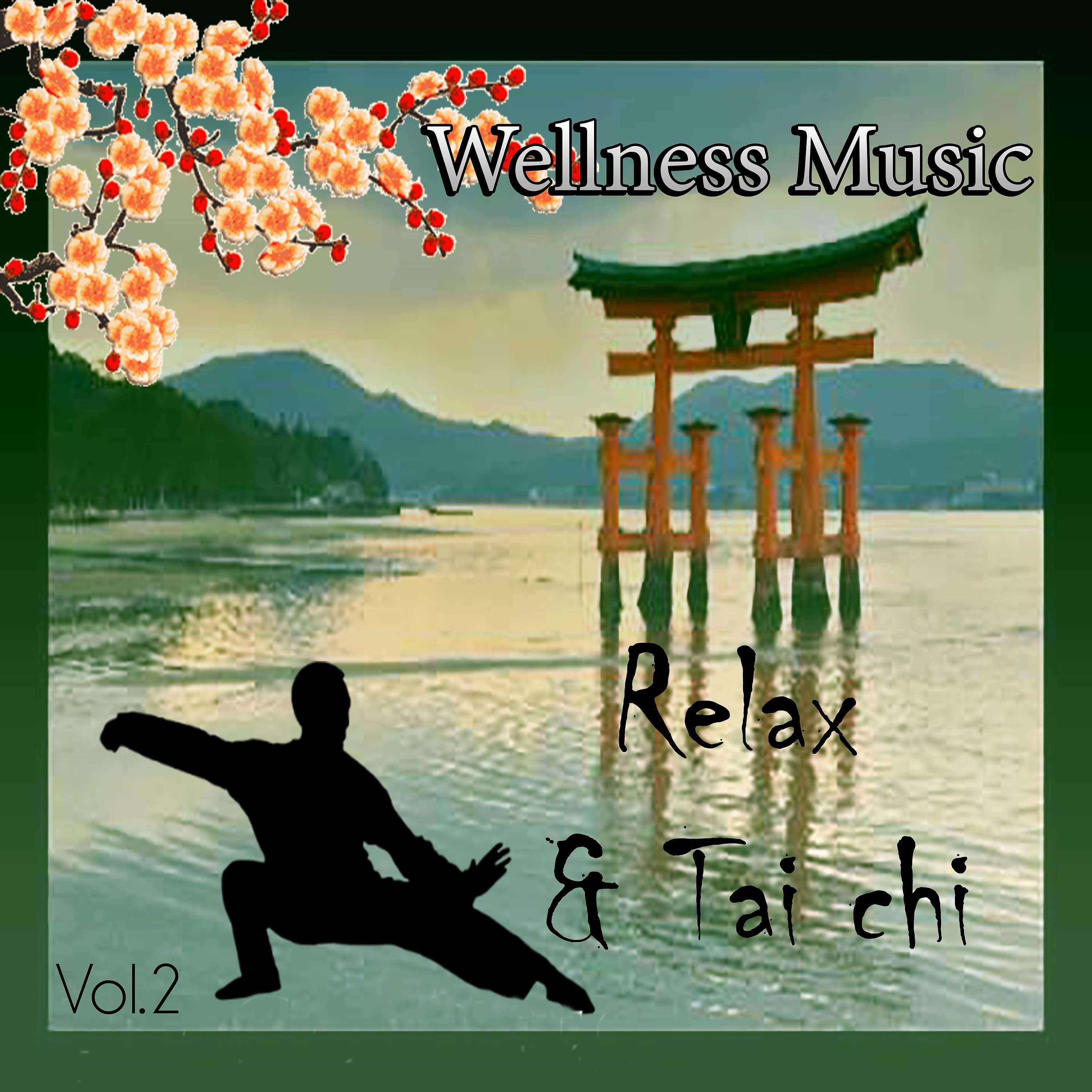 Постер альбома Wellness Music - Relax & Tai Chi, Vol. 2