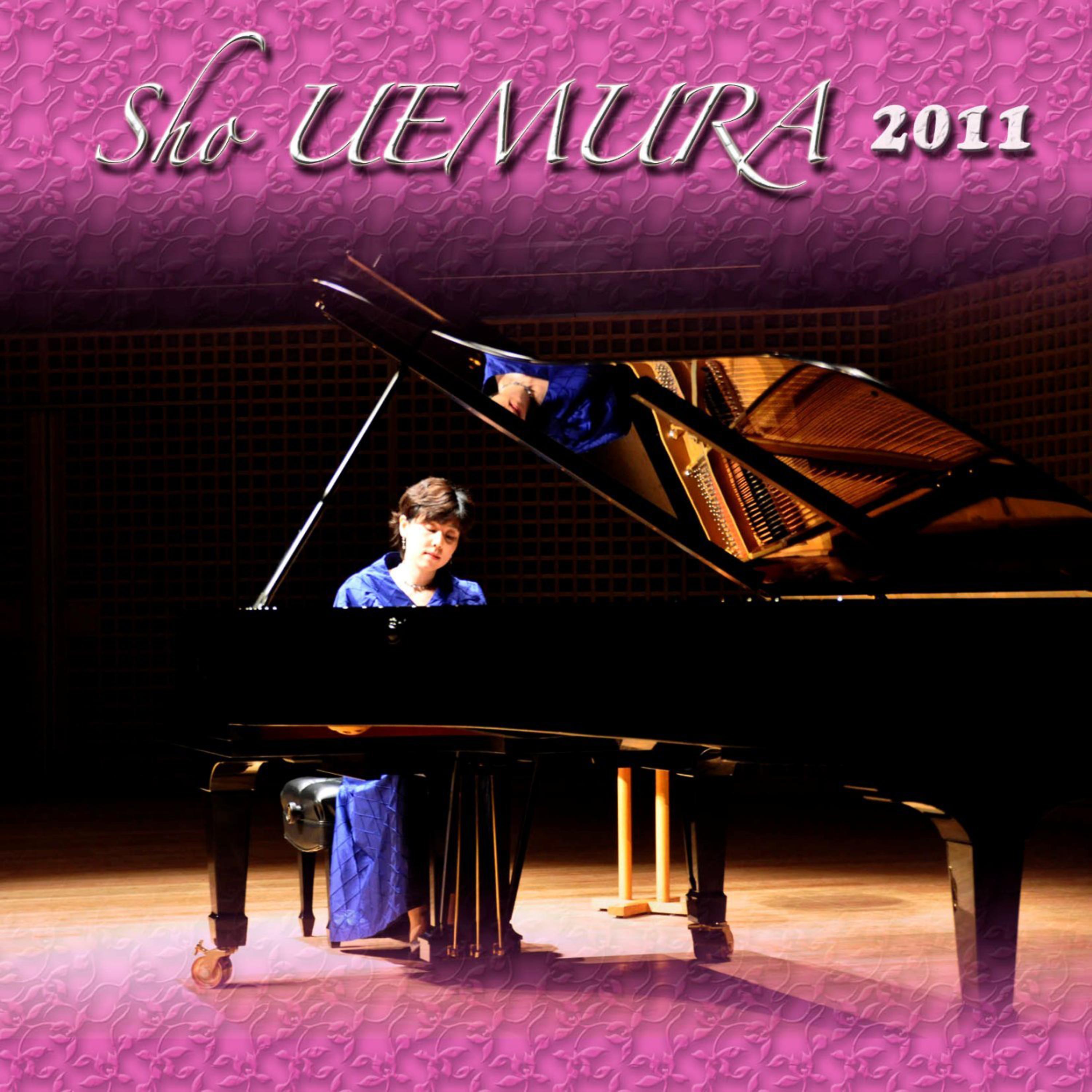 Постер альбома Sho UEMURA 2011