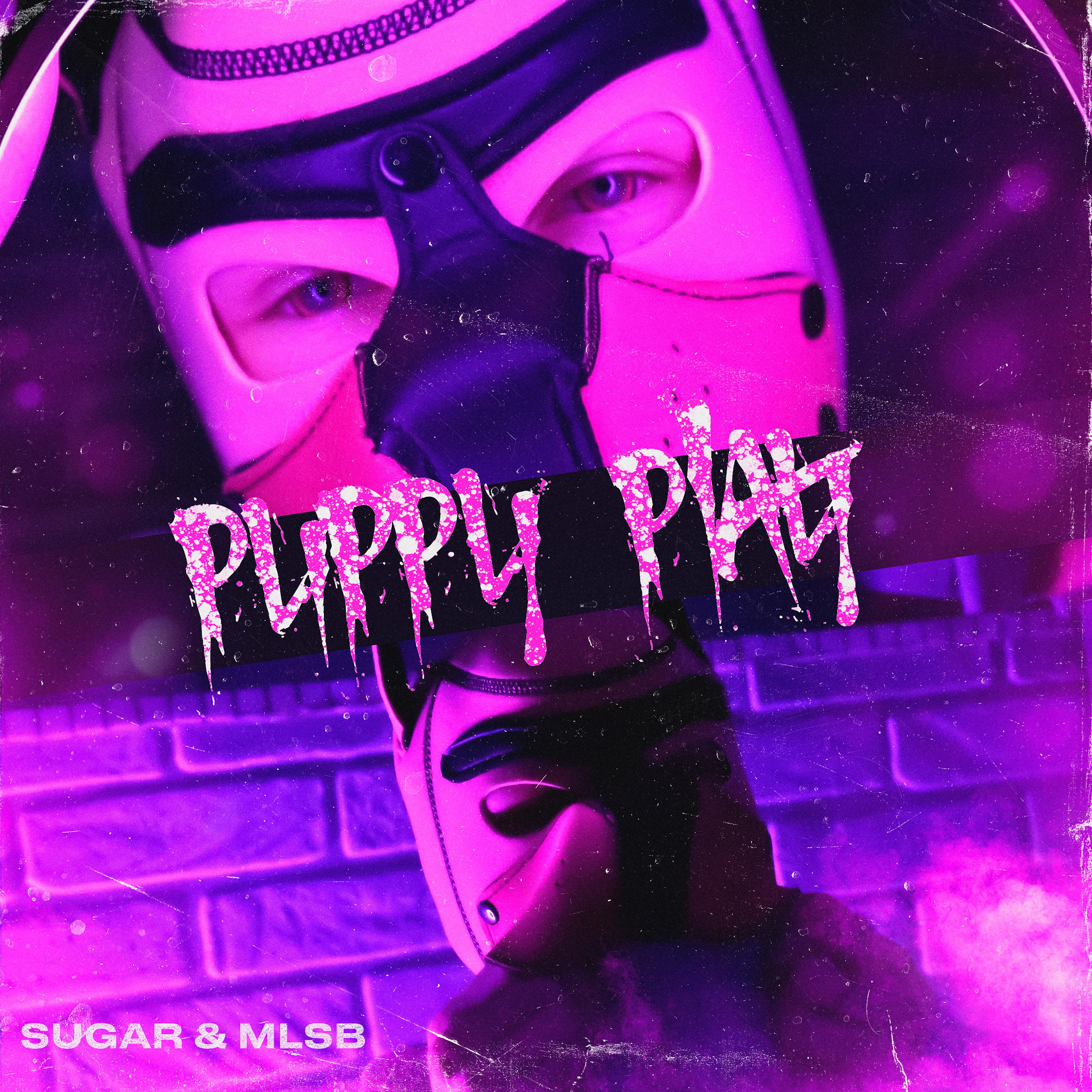 Постер альбома Puppy Play