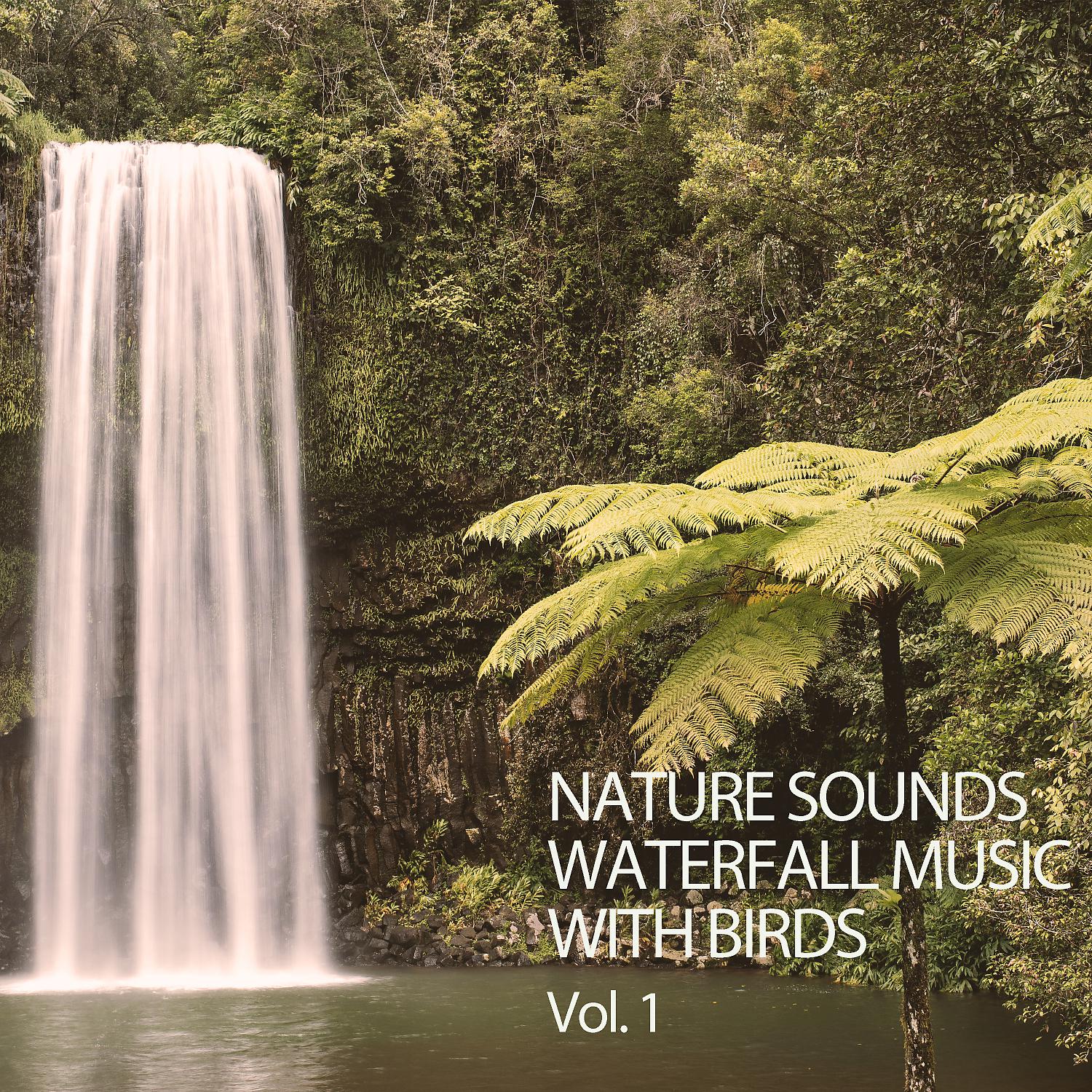 Постер альбома Nature Sounds: Waterfall Music With Birds Vol. 1