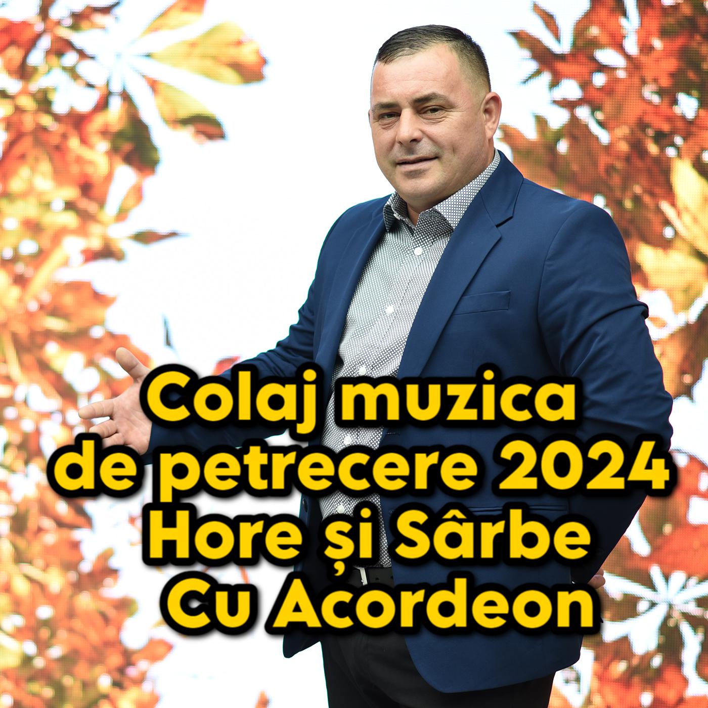 Постер альбома Colaj muzica de petrecere 2024 Hore și Sârbe Cu Acordeon