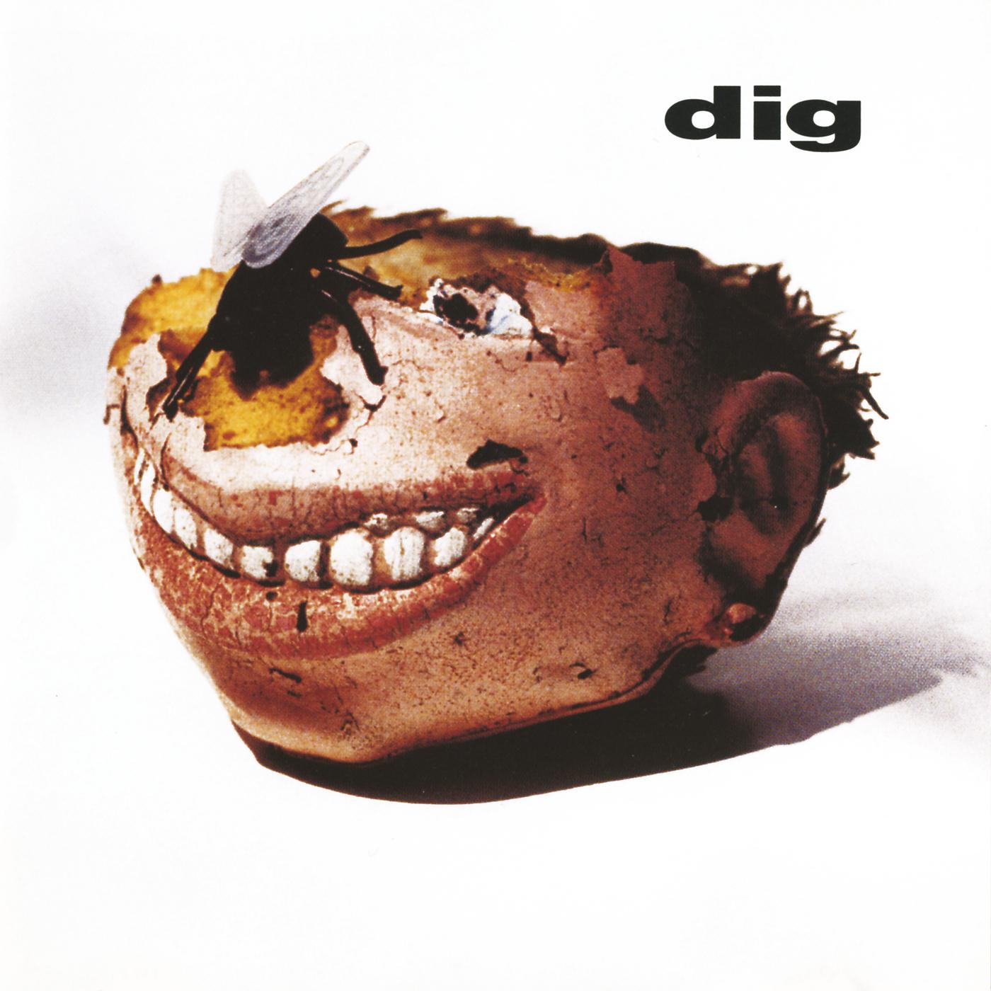 Постер альбома Dig