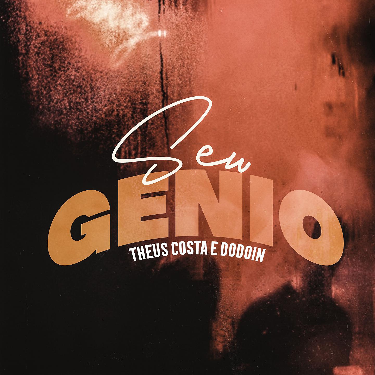 Постер альбома Seu Gênio