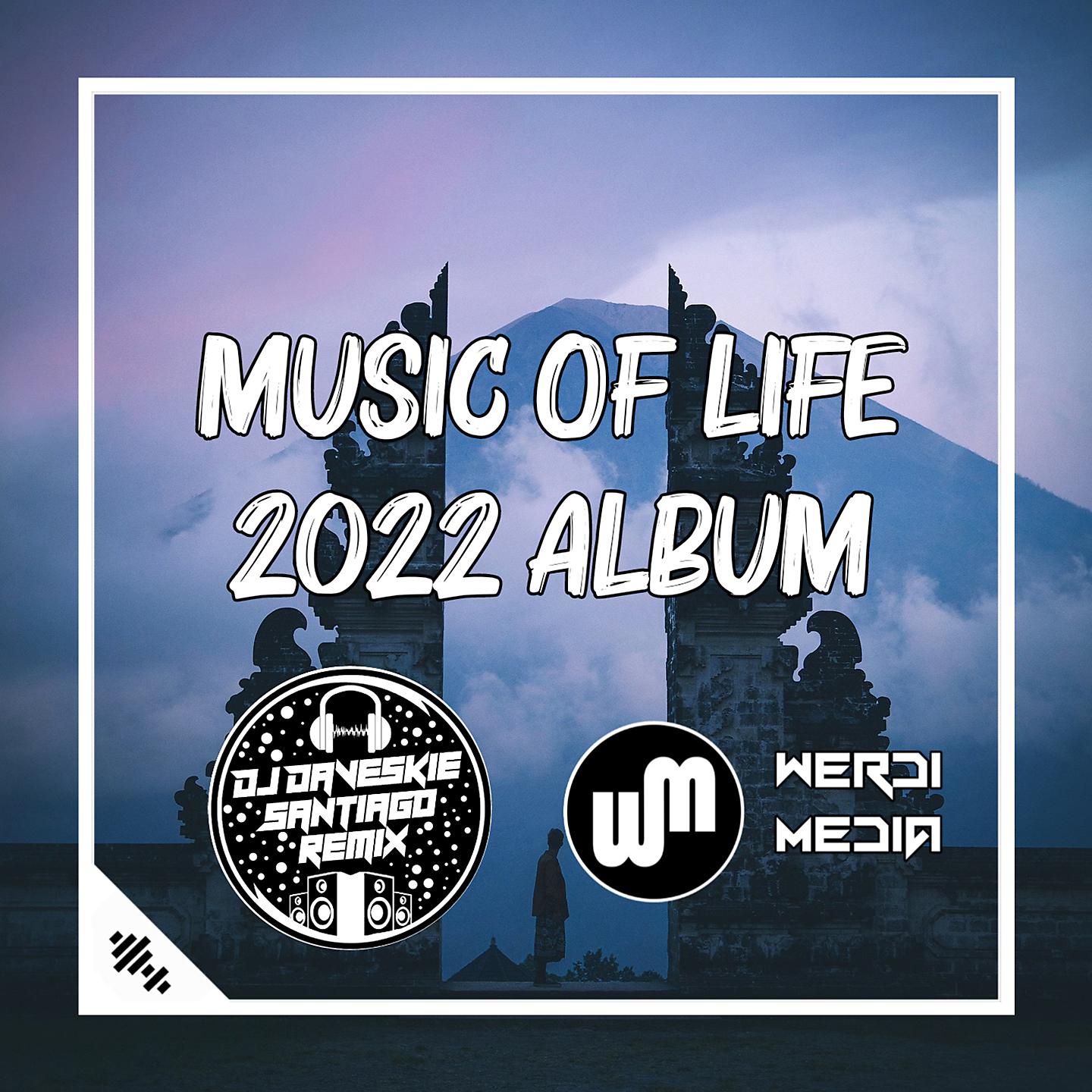Постер альбома Music Of Life 2022, Pt. 2