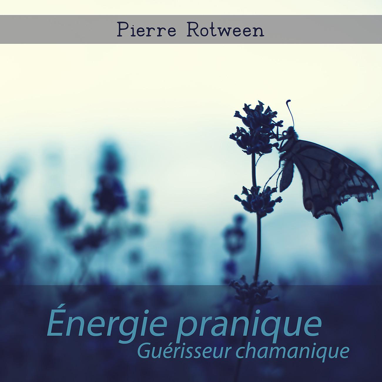Постер альбома Énergie pranique