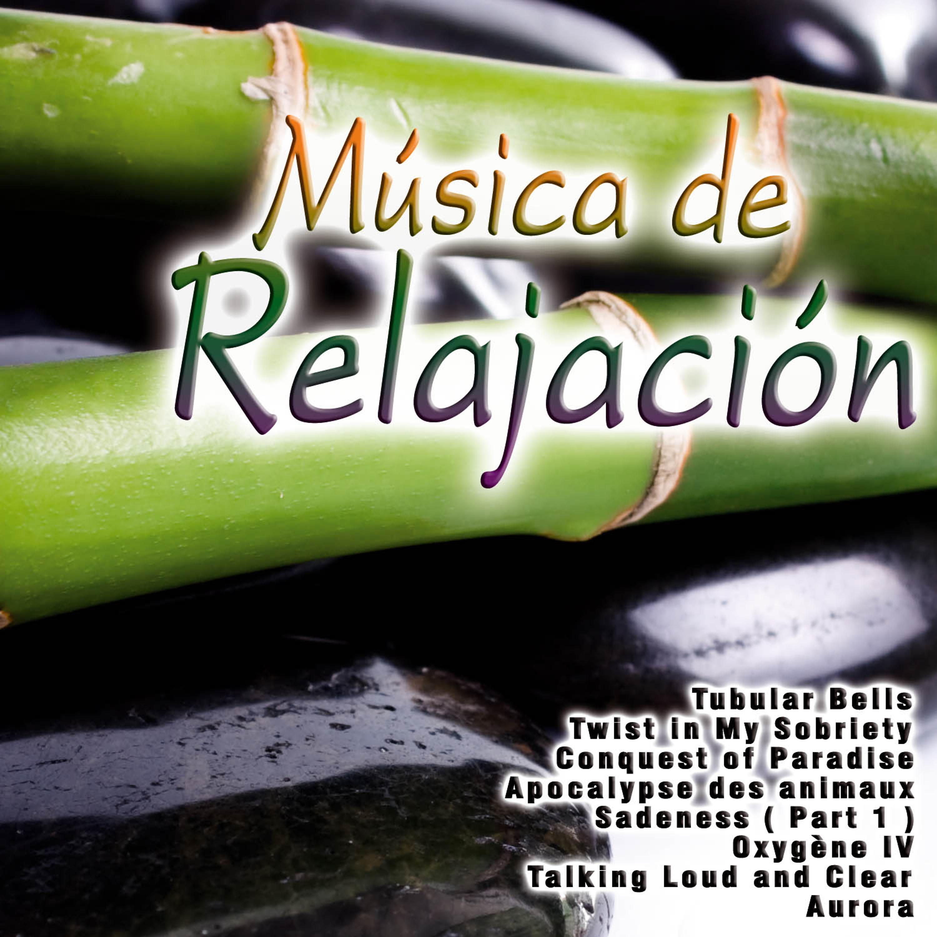 Постер альбома Música de Relajación