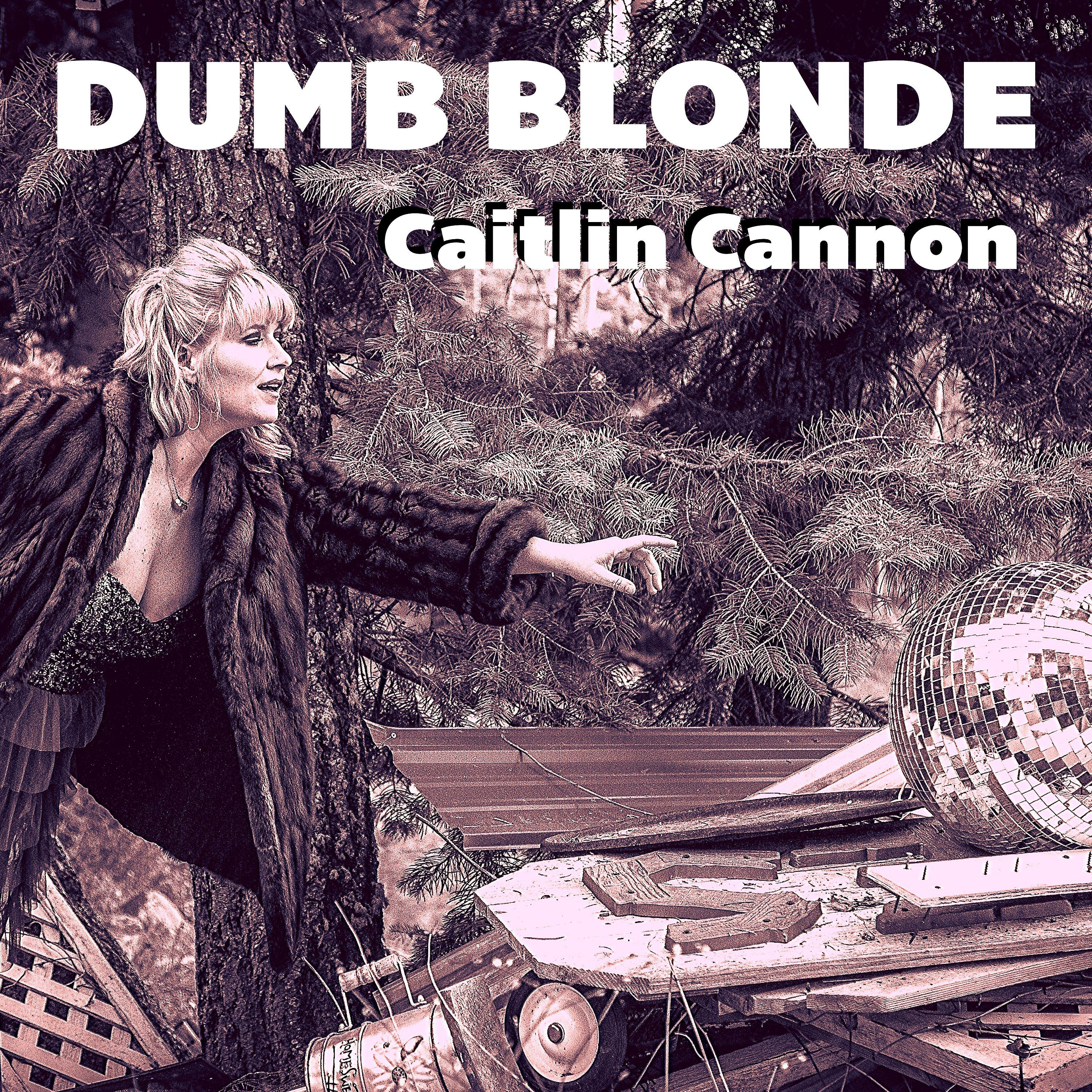 Постер альбома Dumb Blonde