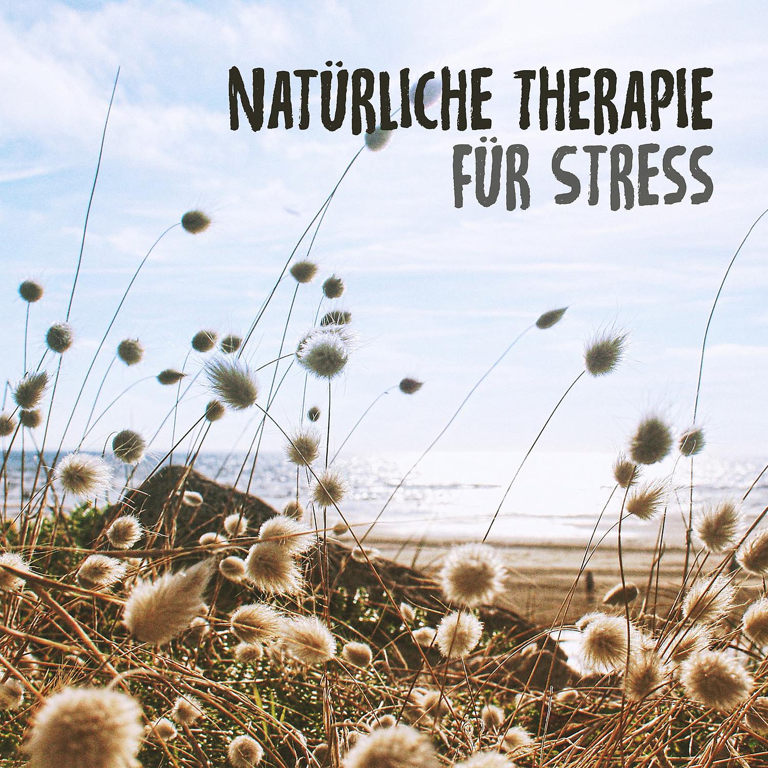 Постер альбома Natürliche Therapie für Stress: Die beste Entspannungsmusik für Meditation, Entspannung, Nachdenken, überwinden Sie Angst mit Naturgeräuschen