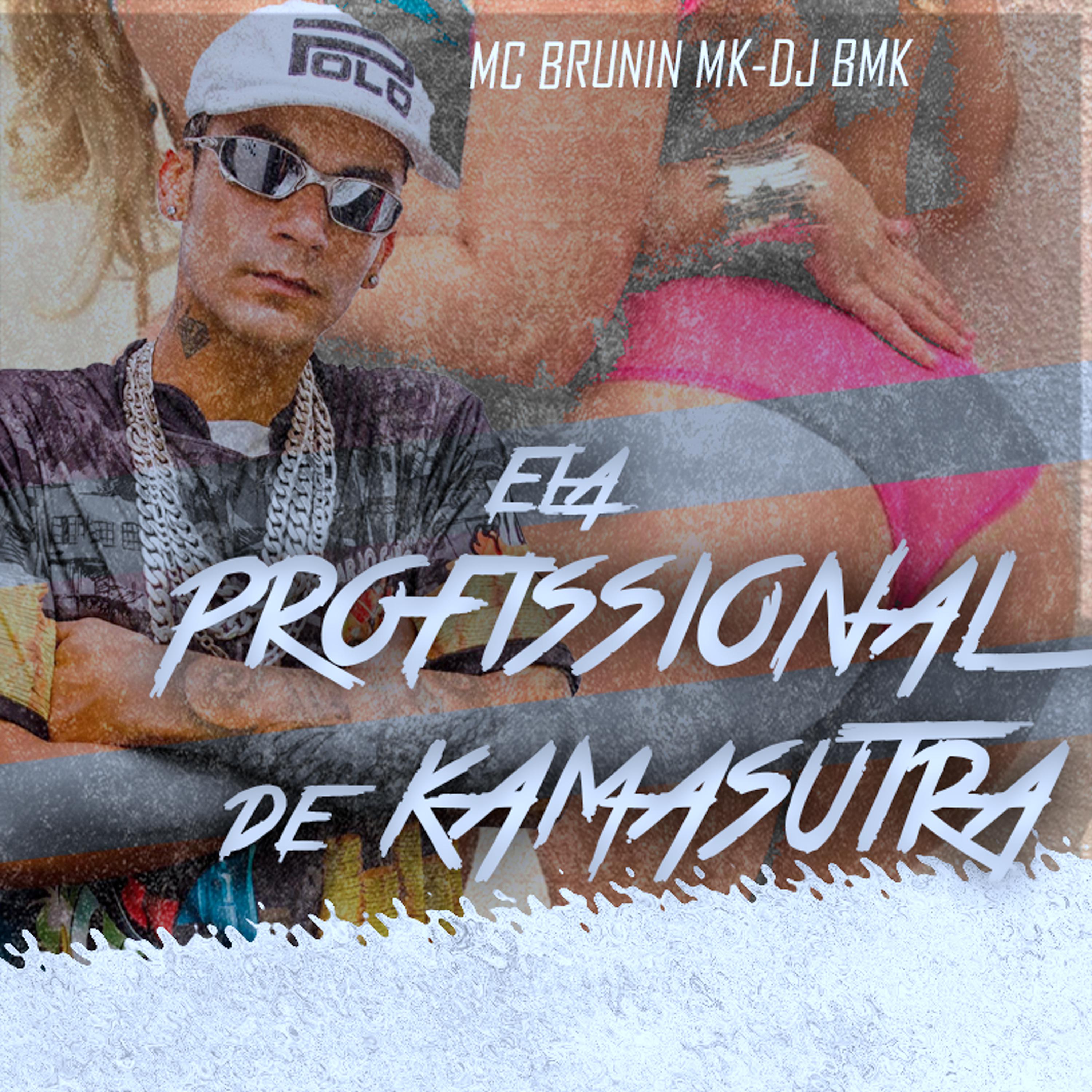 Постер альбома Ela É Profissional de Kamasutra
