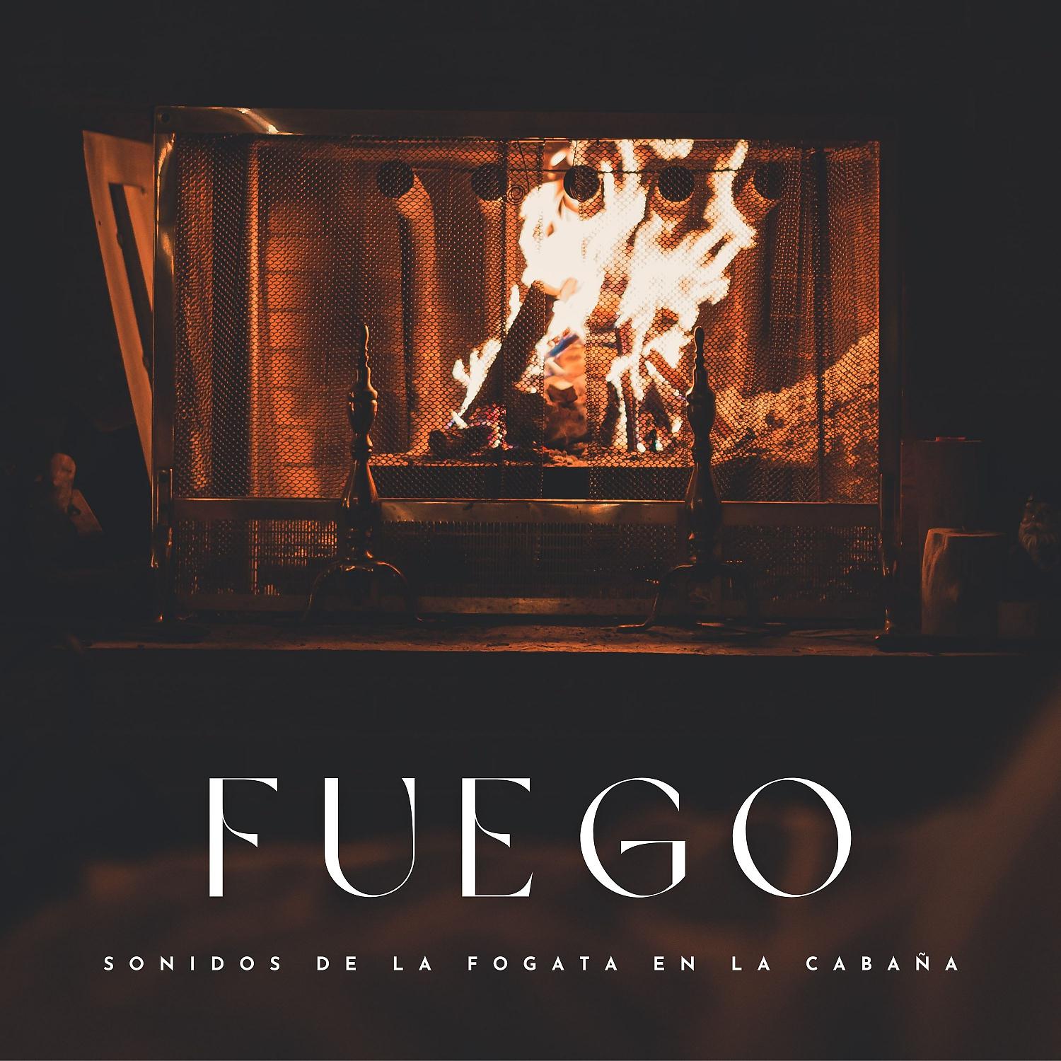 Постер альбома Fuego: Sonidos De La Fogata En La Cabaña