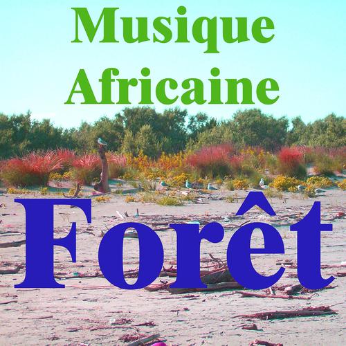Постер альбома Musique africaine