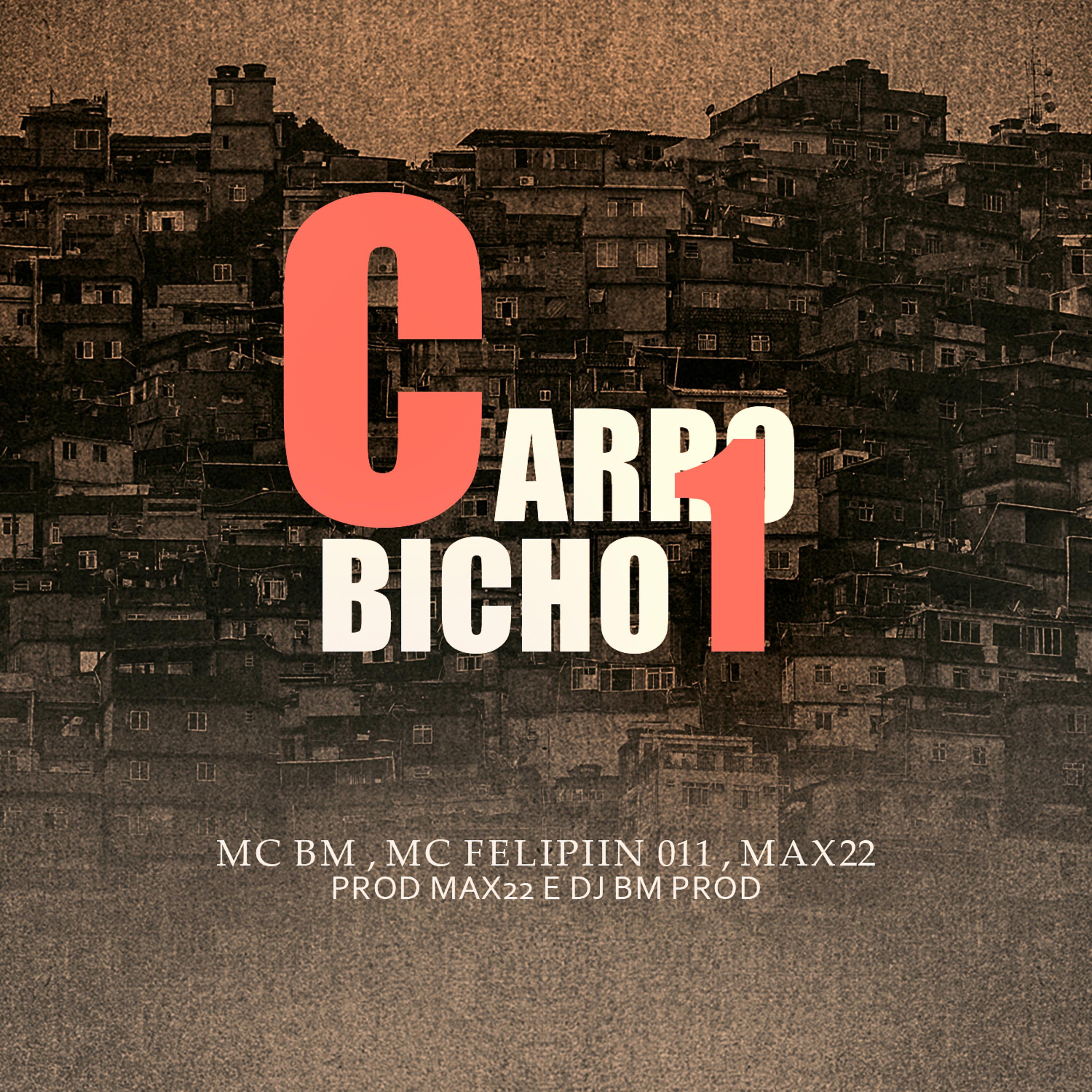 Постер альбома Carro Bicho 1