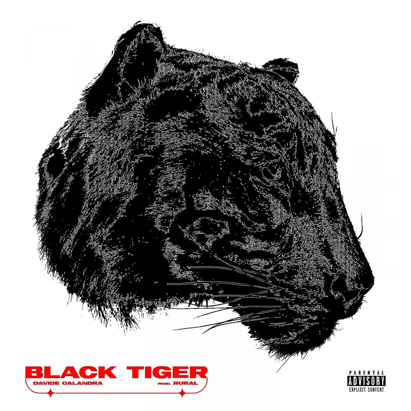 Постер альбома Black Tiger
