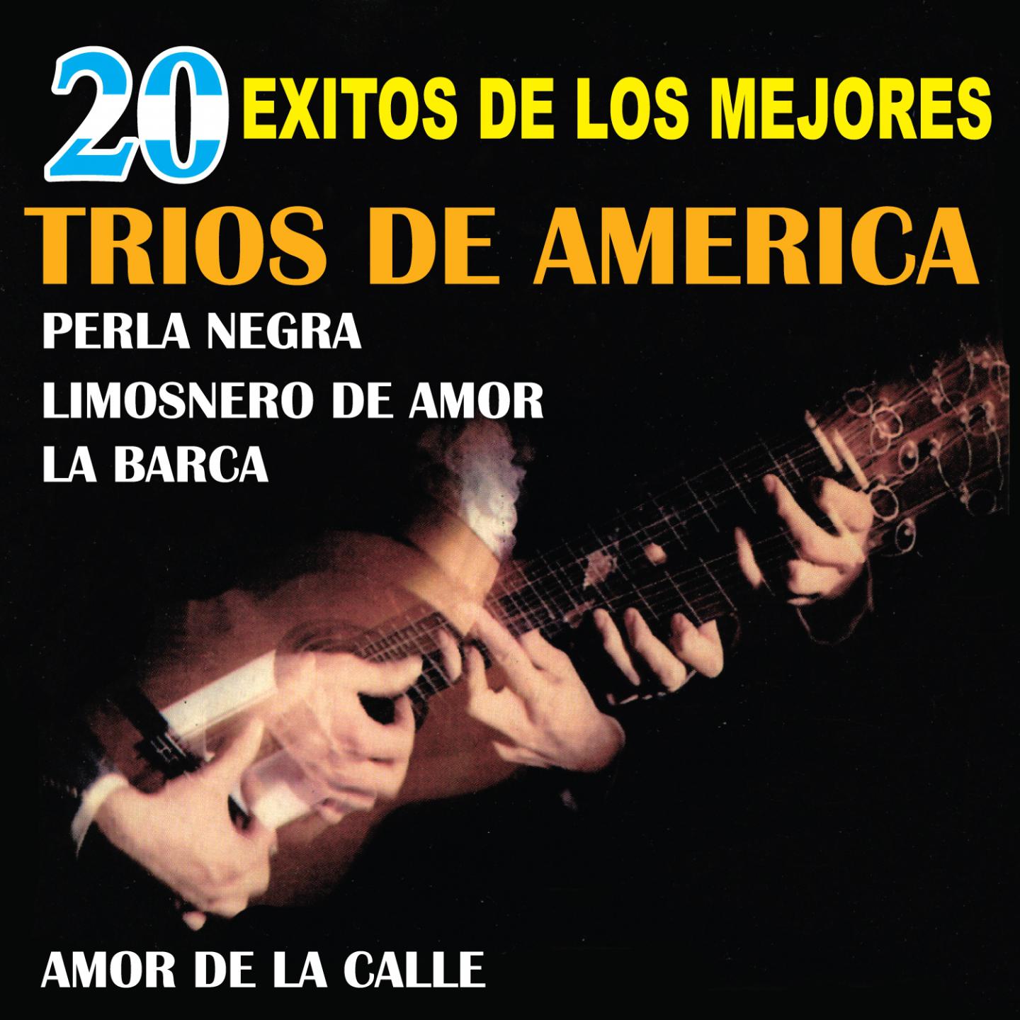 Постер альбома 20 Exitos de los Mejores Trios de America