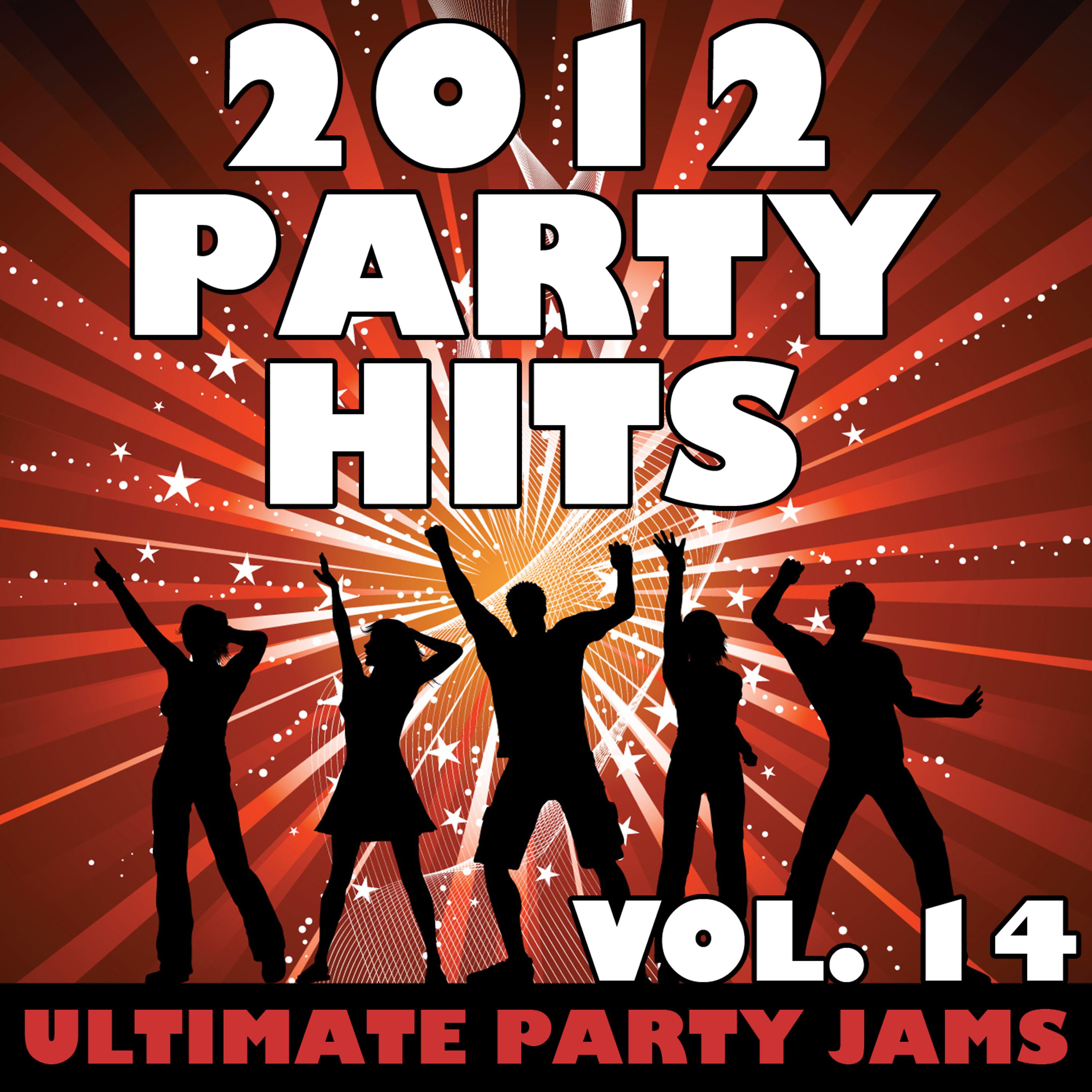 Постер альбома 2012 Party Hits, Vol. 14
