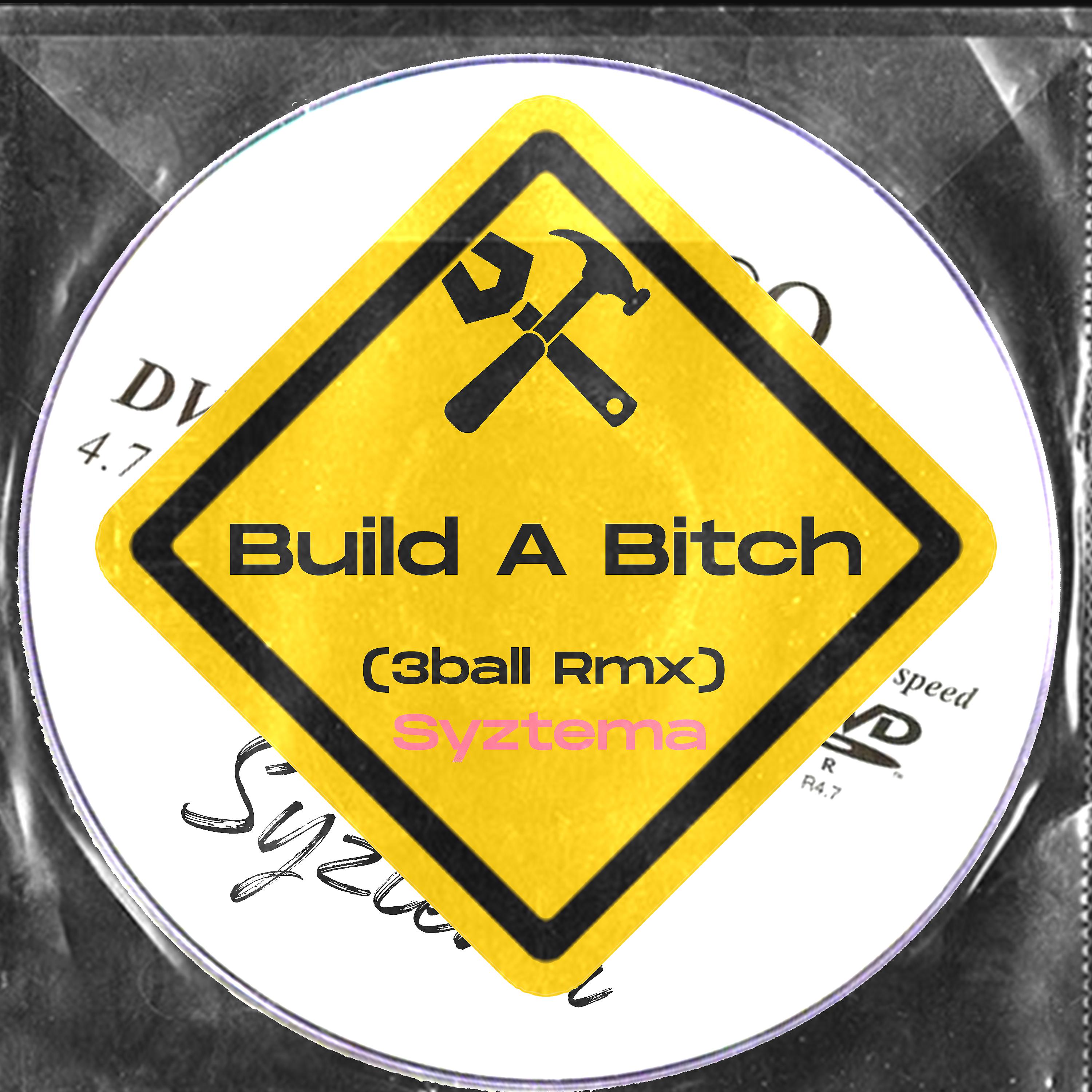 Постер альбома Build a Bitch (3ball Remix)
