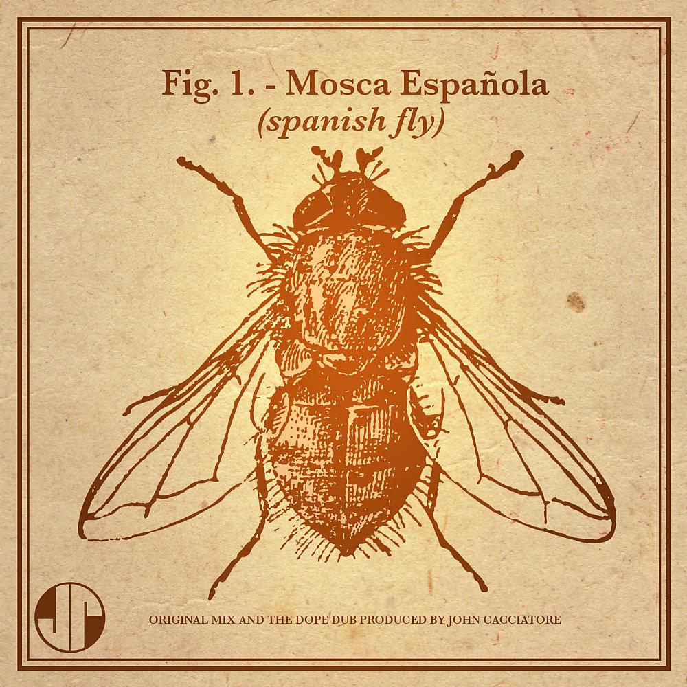Постер альбома Mosca Española