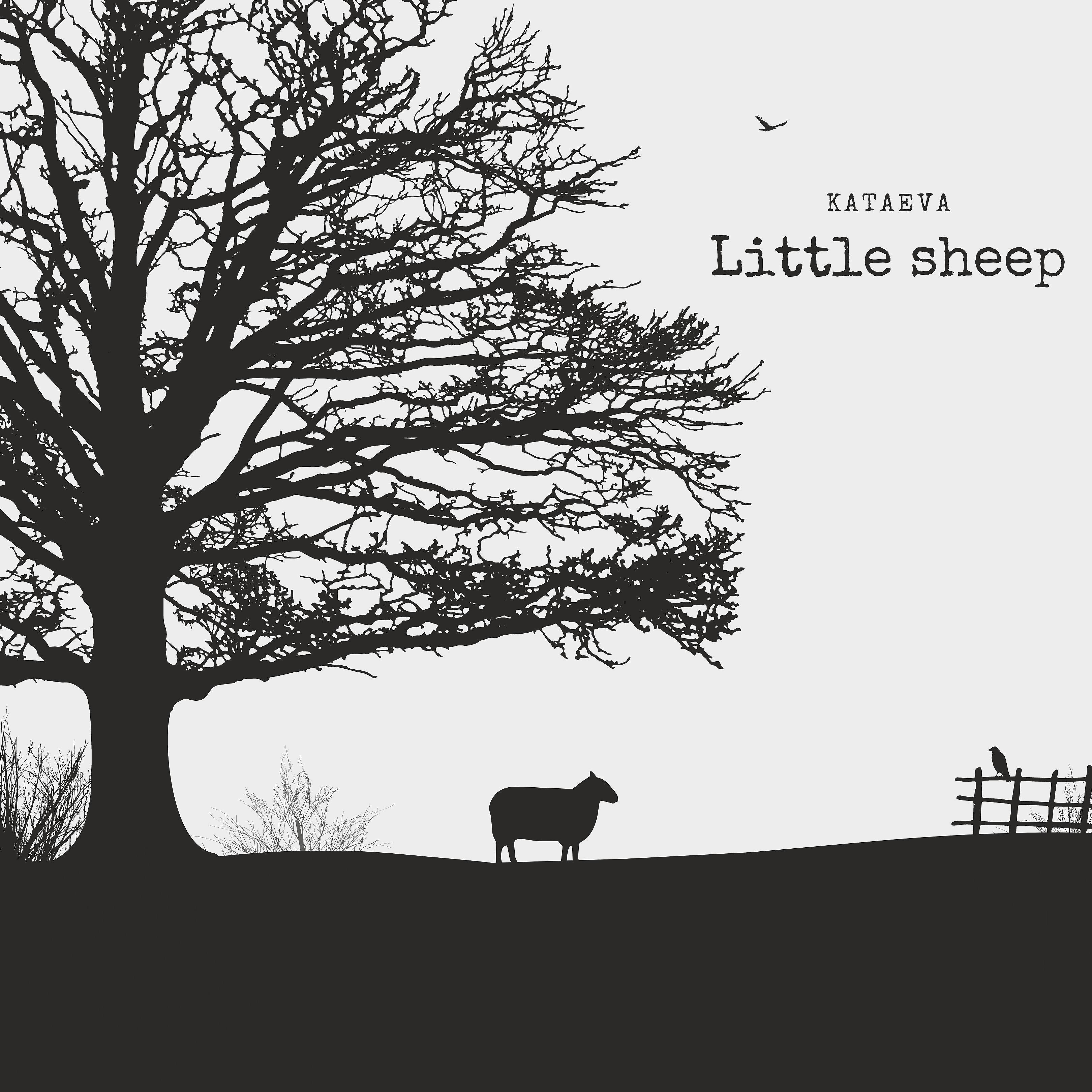 Постер альбома Little Sheep