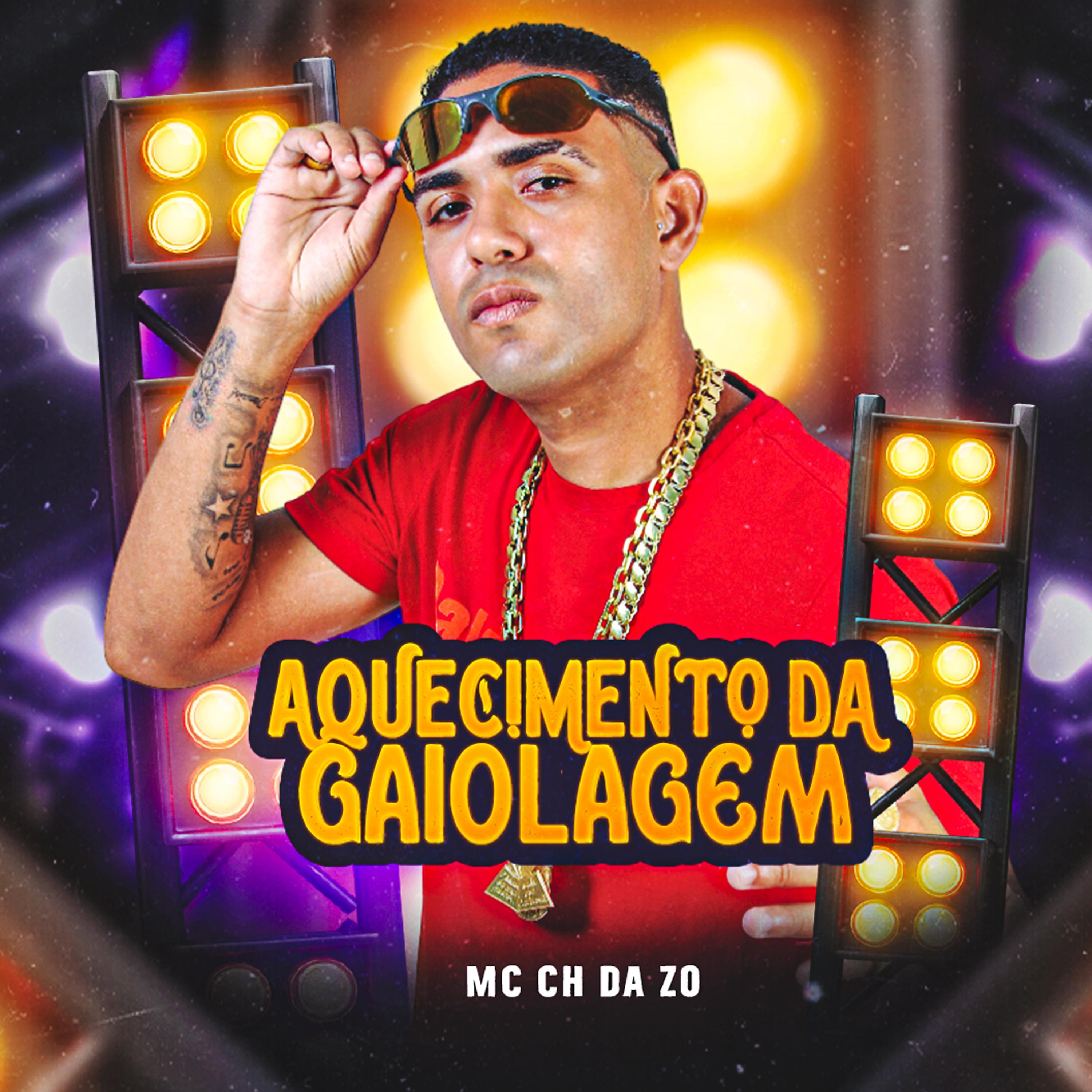 Постер альбома Aquecimento da Gaiolagem