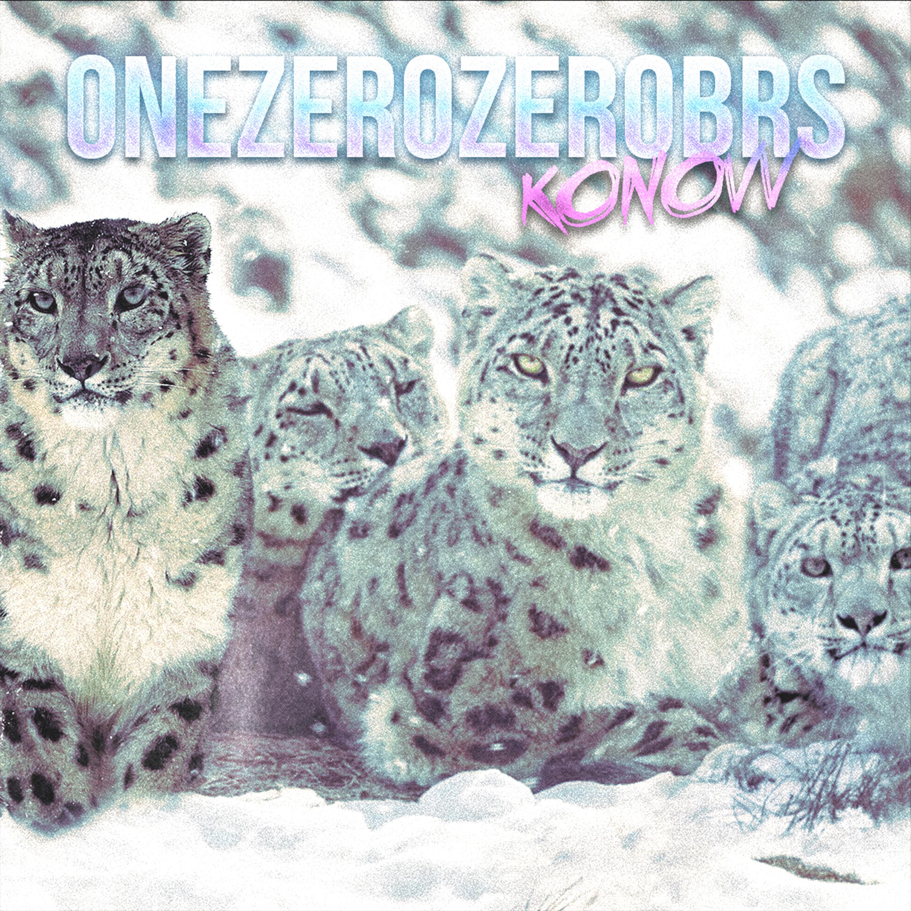 Постер альбома Onezerozerobrs