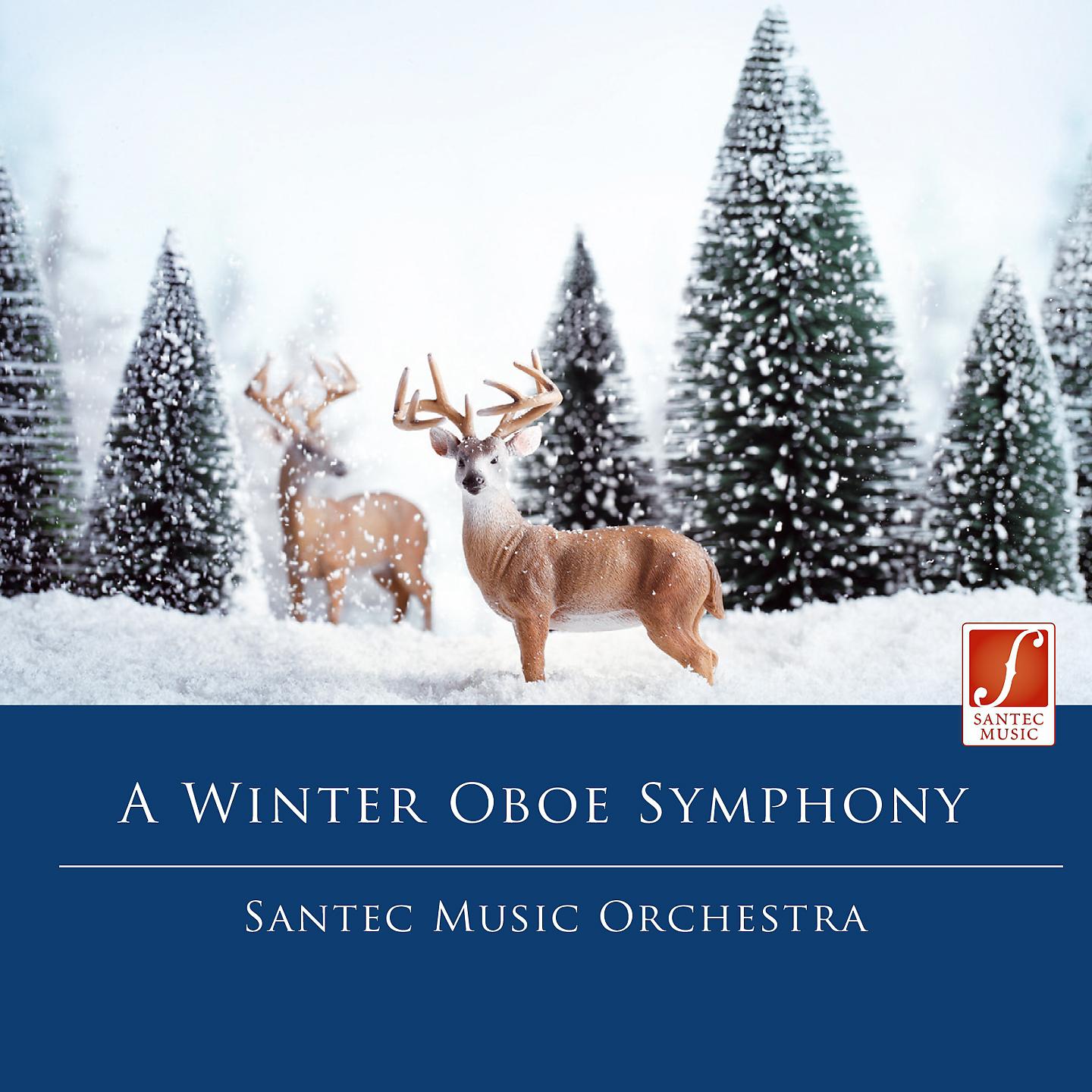 Постер альбома A Winter Oboe Symphony