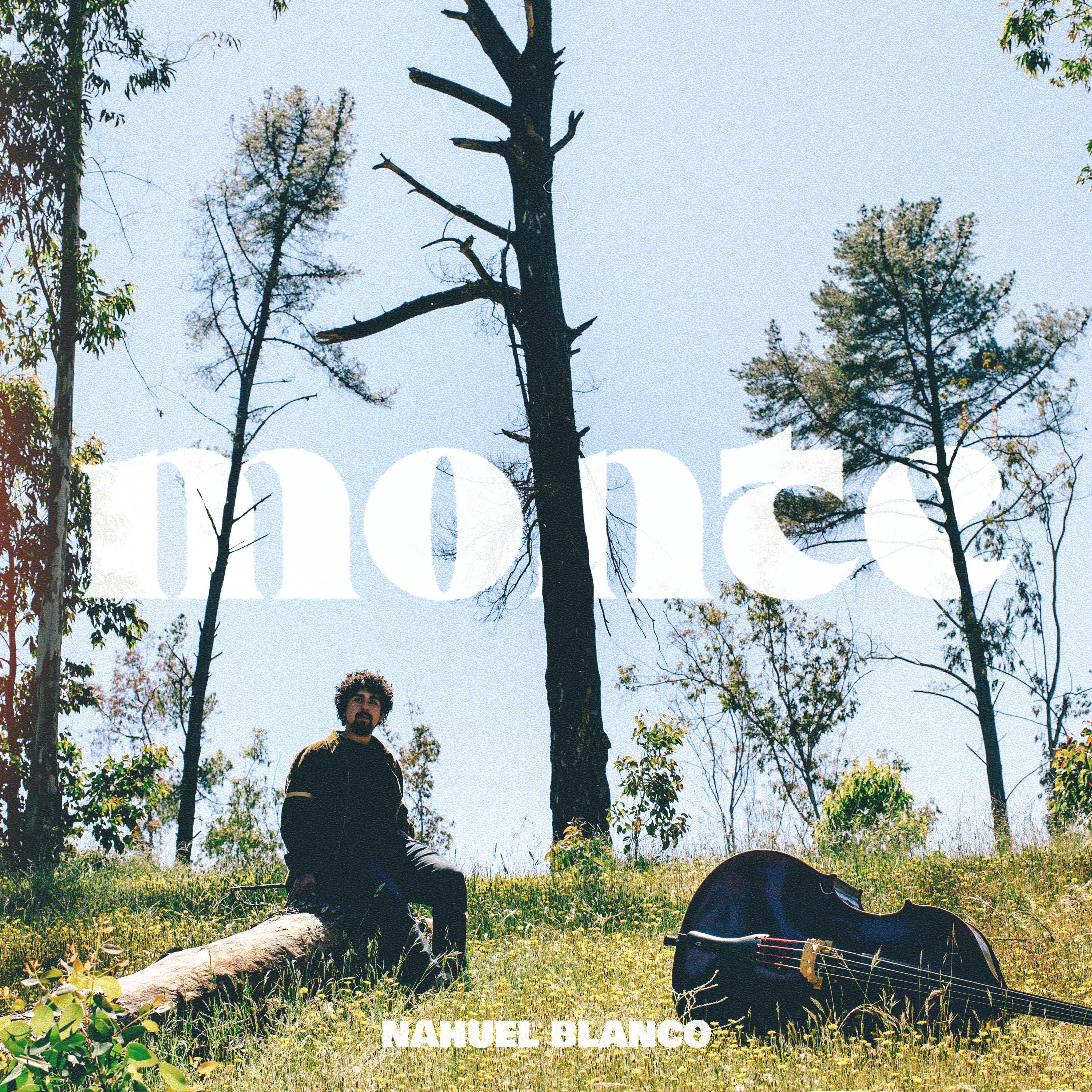 Постер альбома Monte