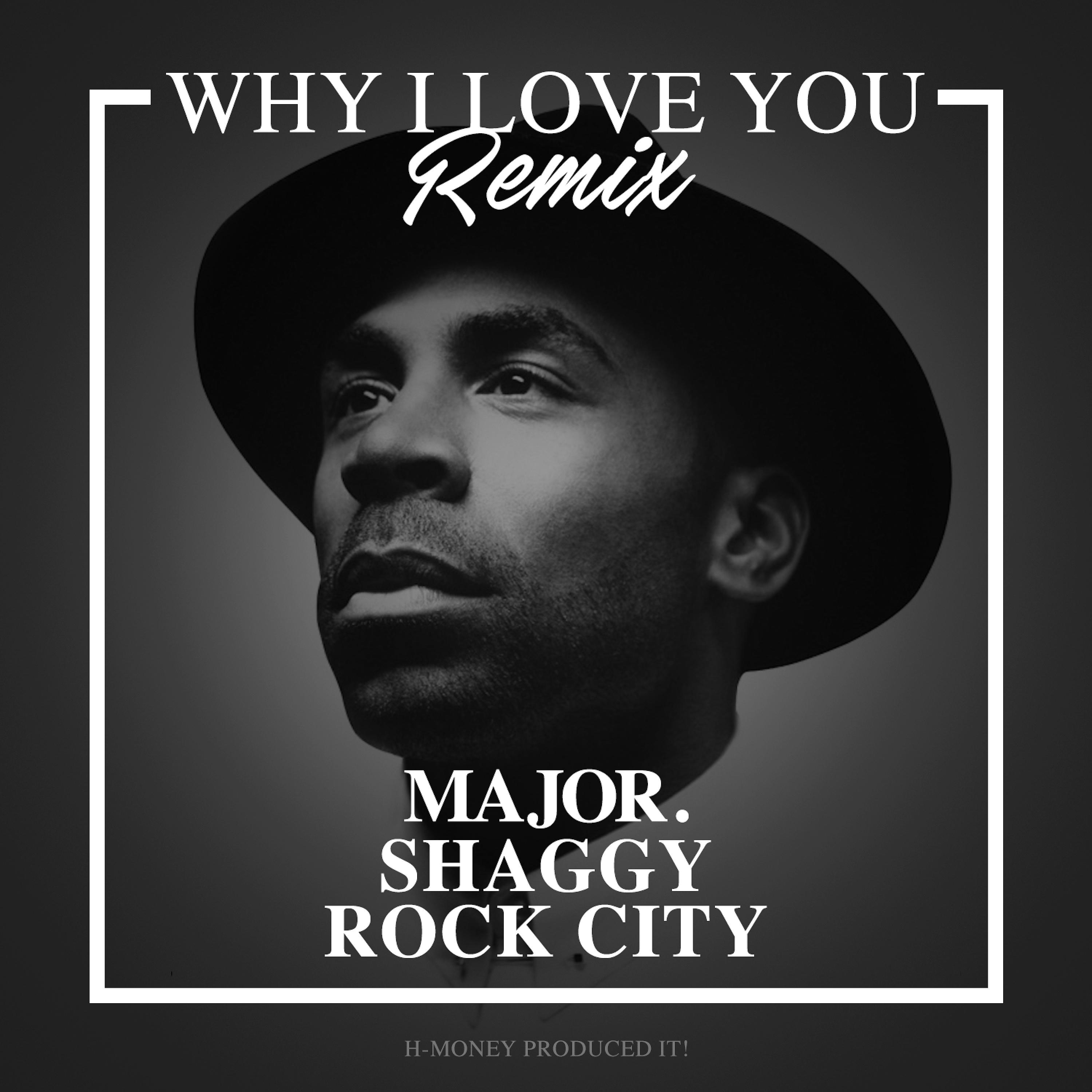 Постер альбома Why I Love You (Remix) [feat. Shaggy & Rock City]