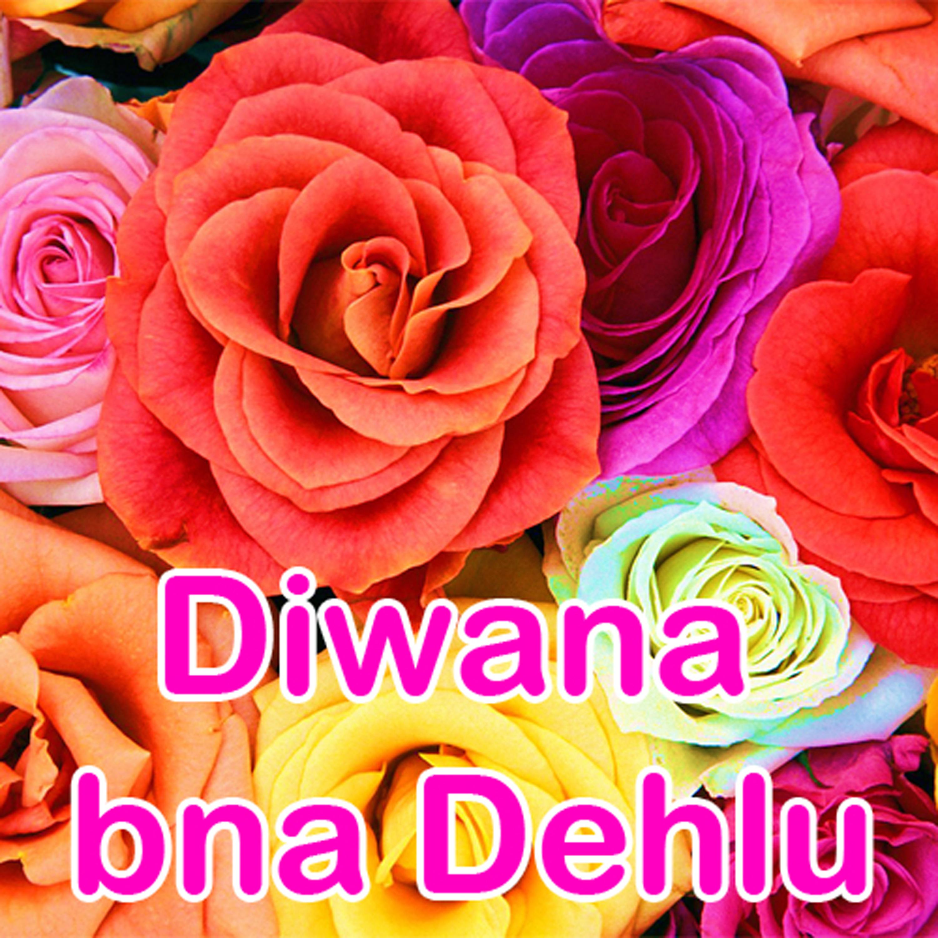 Постер альбома Diwana Bna Dehlu