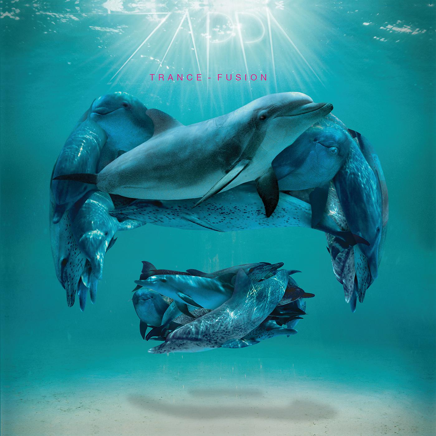 Постер альбома Trance-Fusion