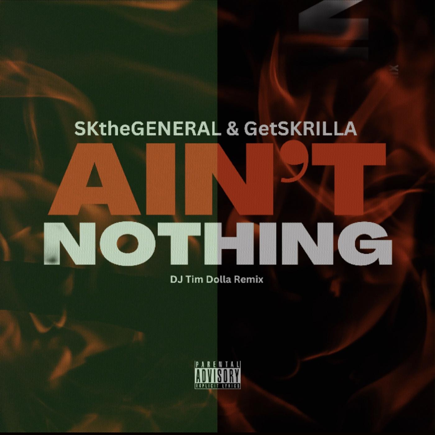 Постер альбома Ain't Nothing (DJ Tim Dolla Remix)
