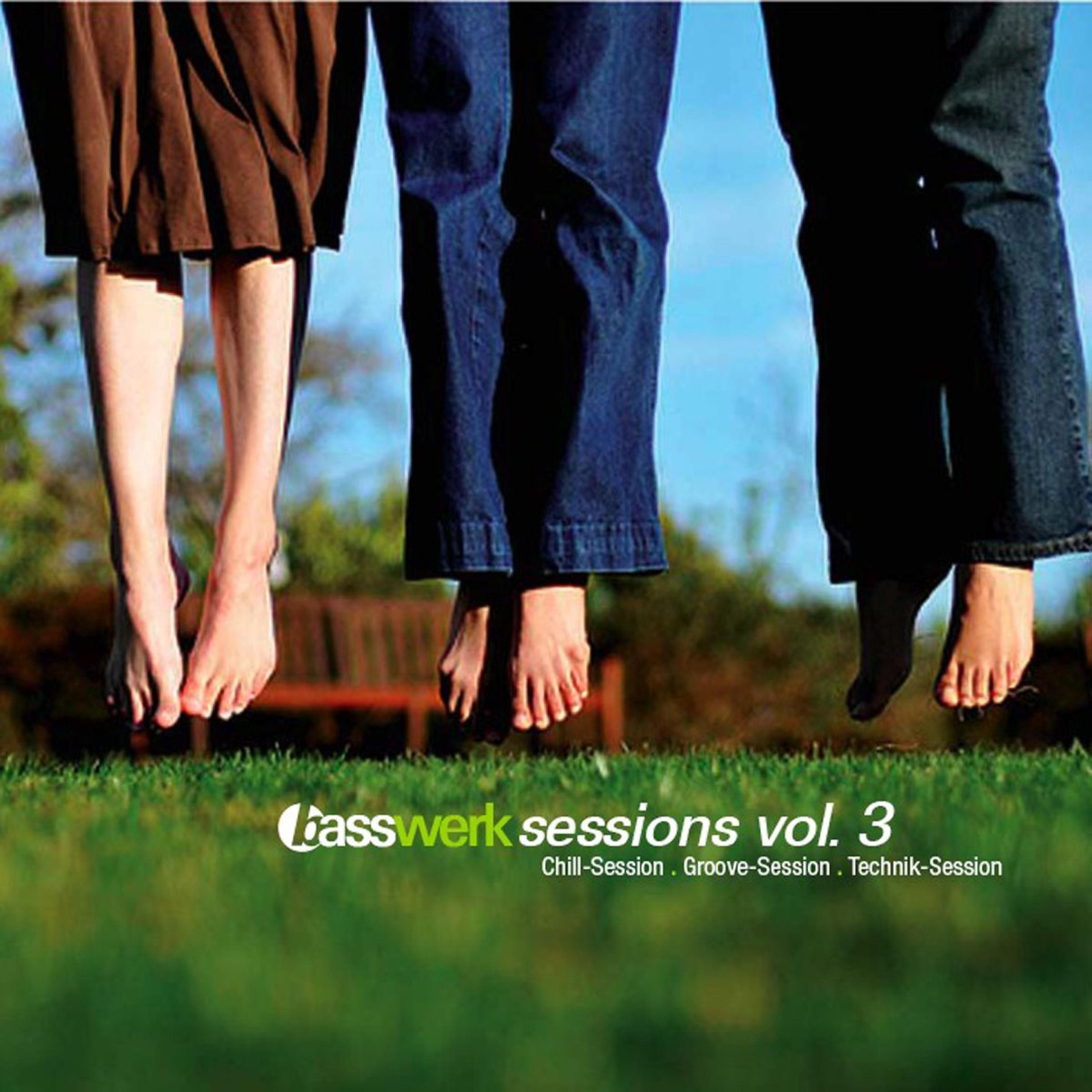 Постер альбома Basswerk Sessions, Vol. 3 Cd2 Groove-Sessions