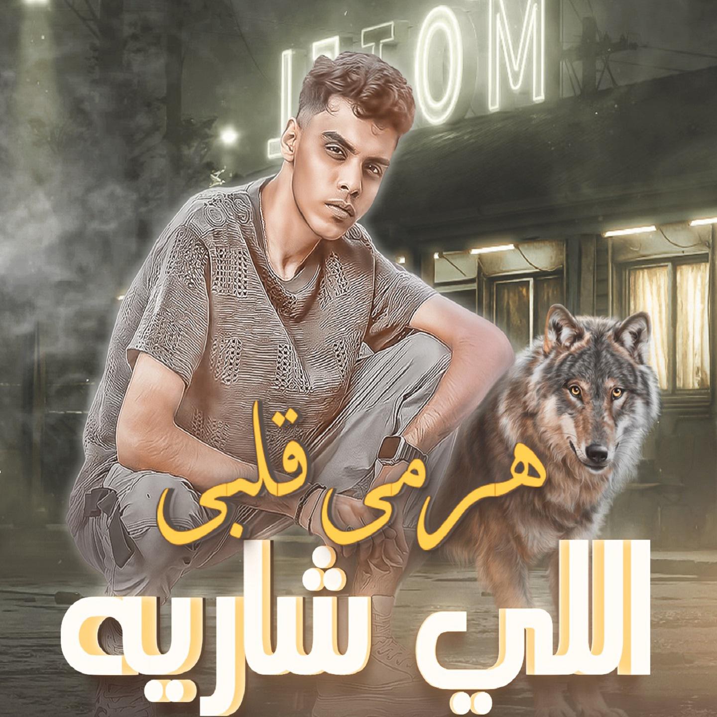 Постер альбома هرمي قلبي اللي شاريه