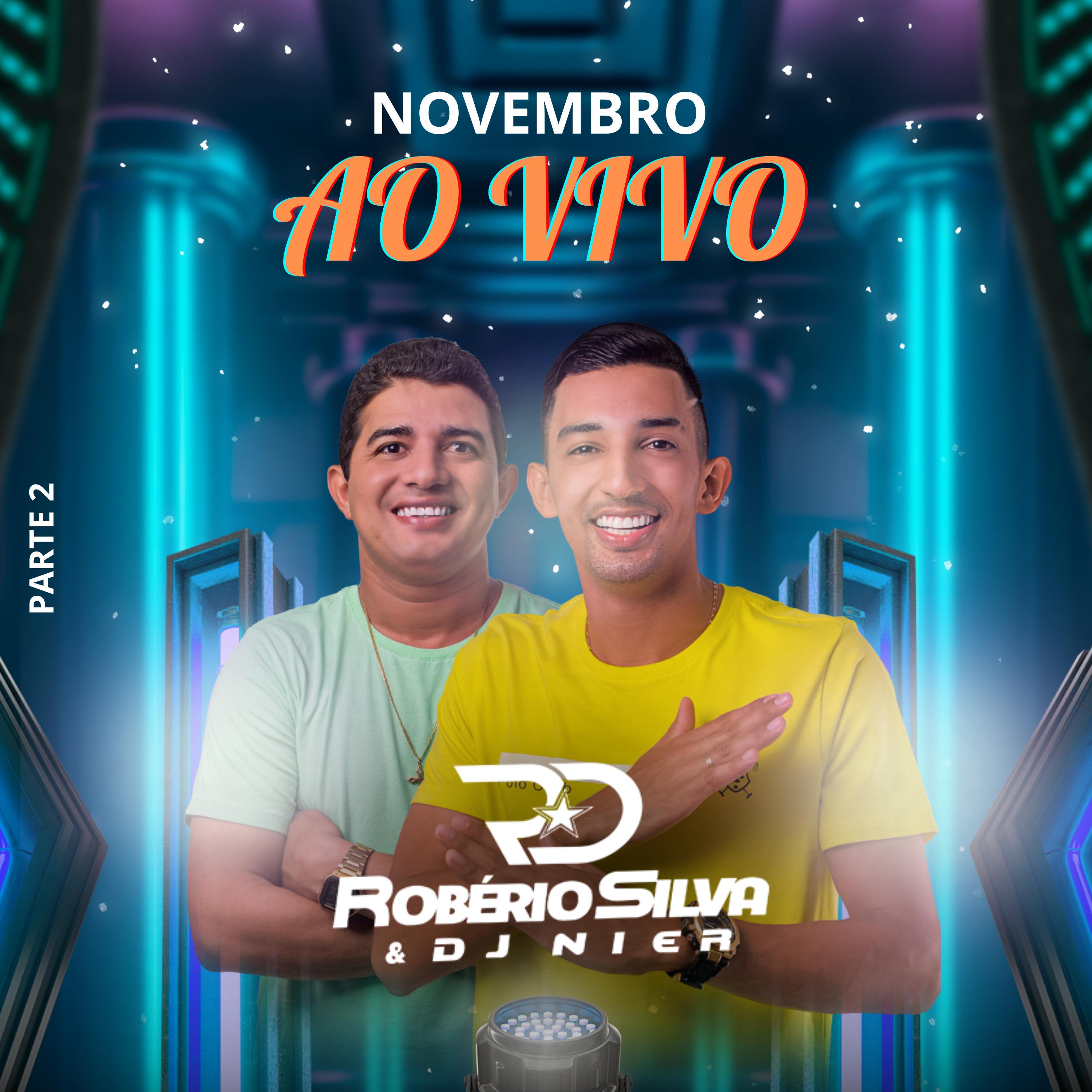 Постер альбома Novembro ao Vivo, Pt. 2
