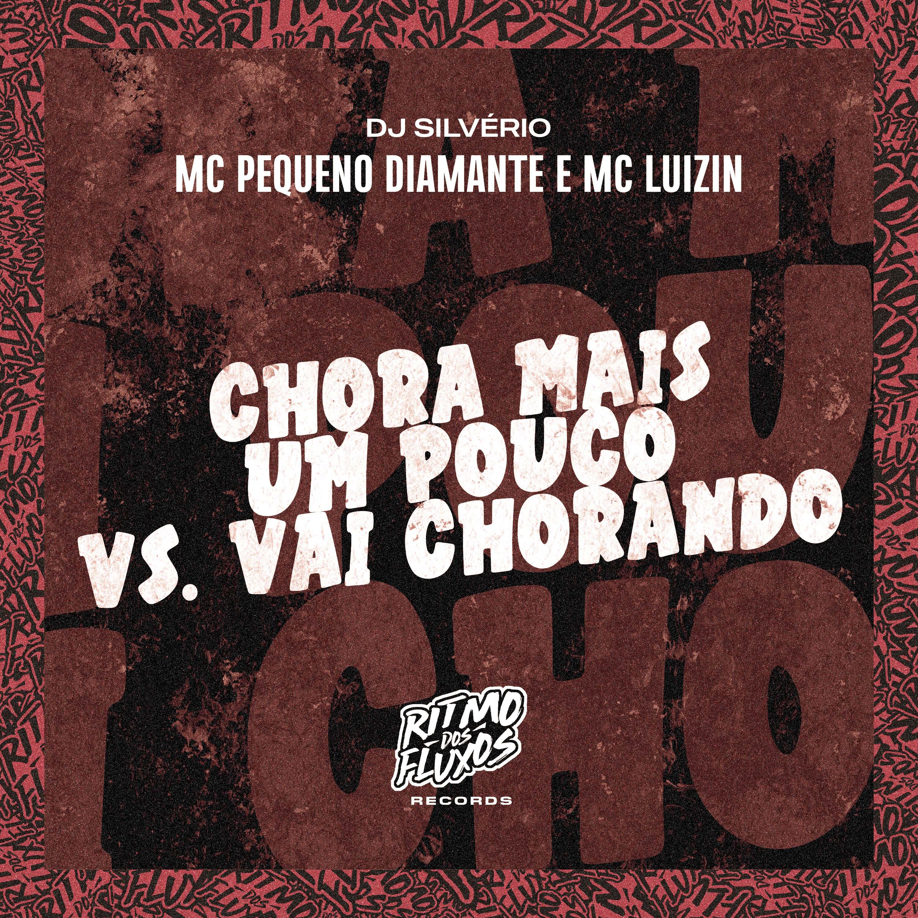 Постер альбома Chora Mais um Pouco Vs Vai Chorando