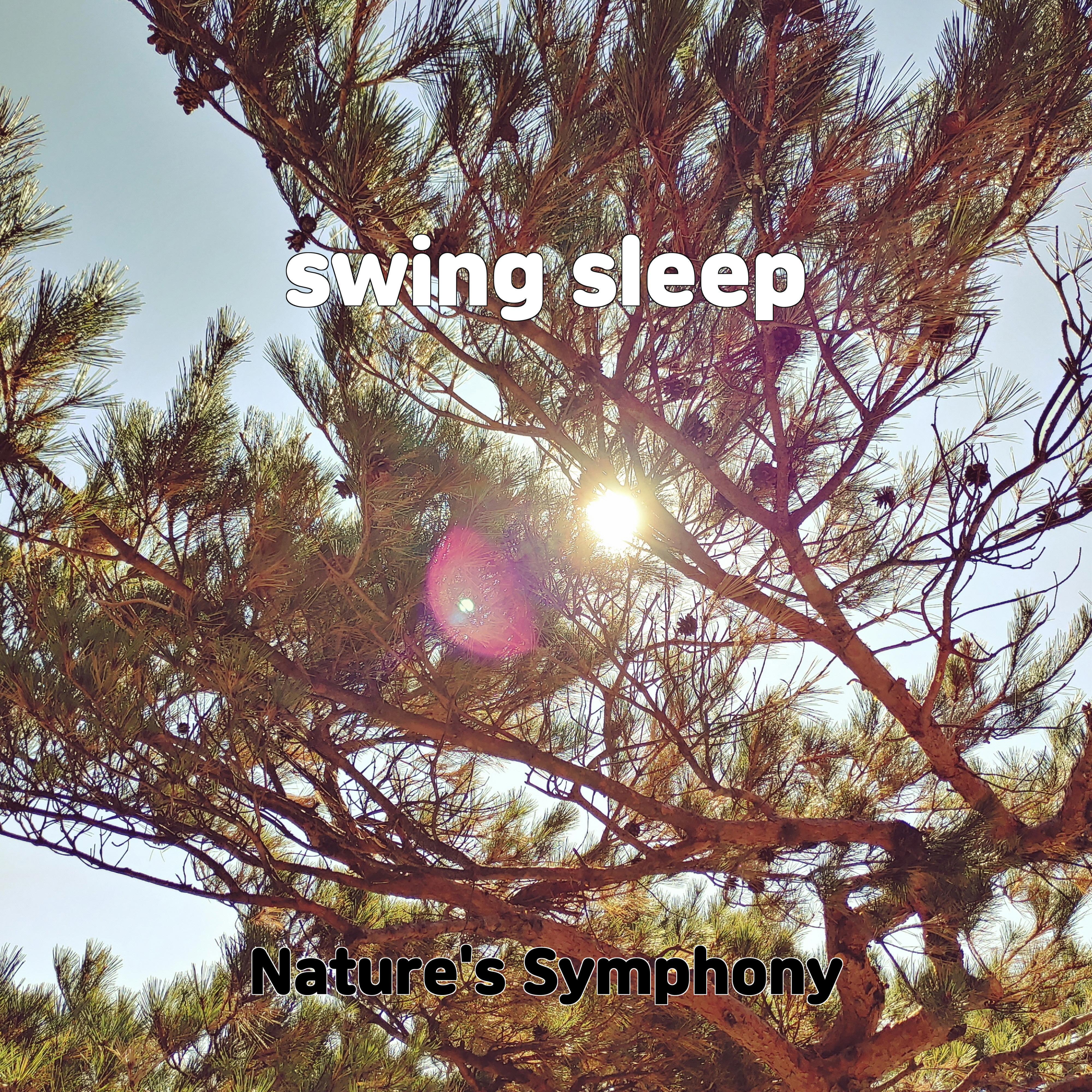 Постер альбома swing sleep
