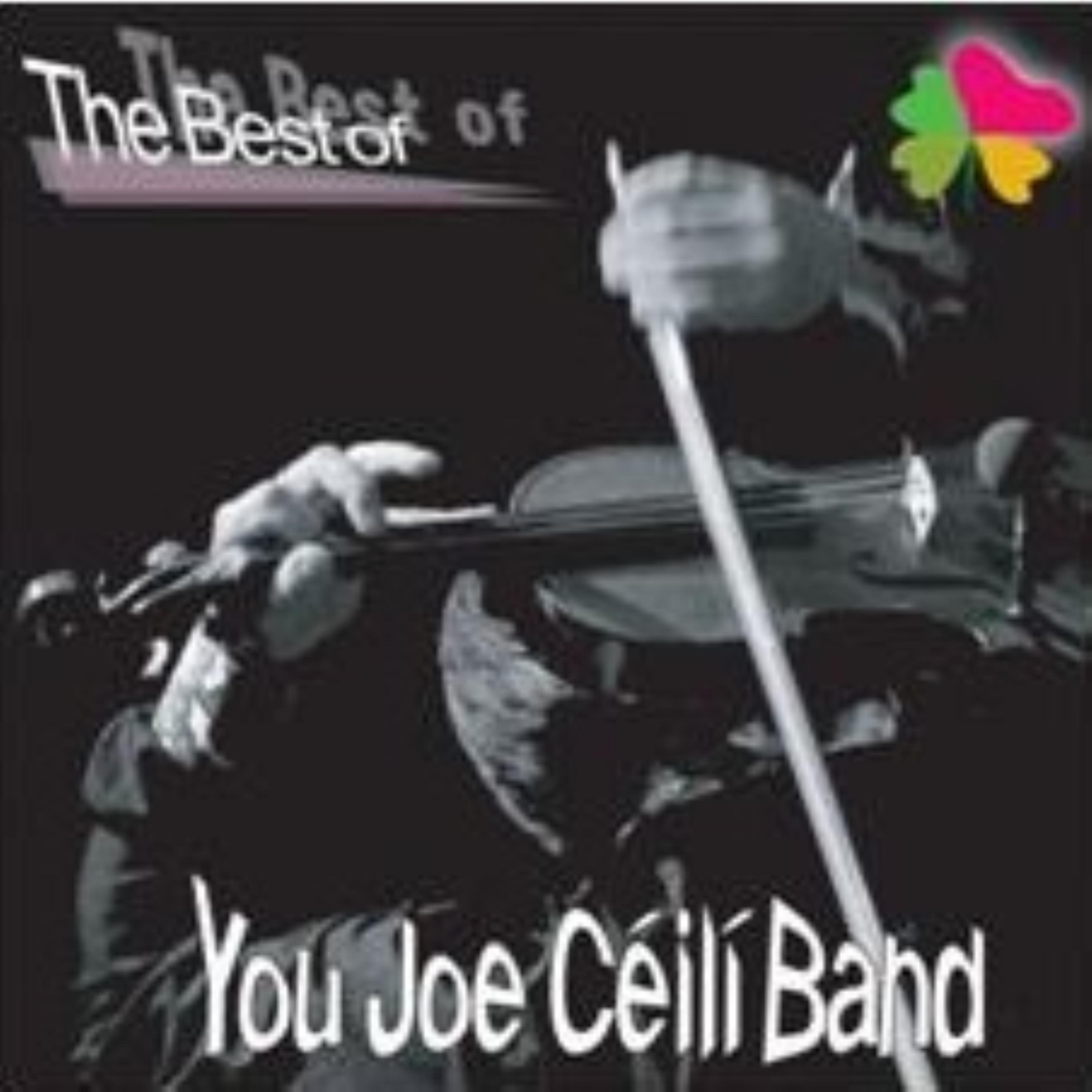 Постер альбома The Best of You Joe Ceili Band