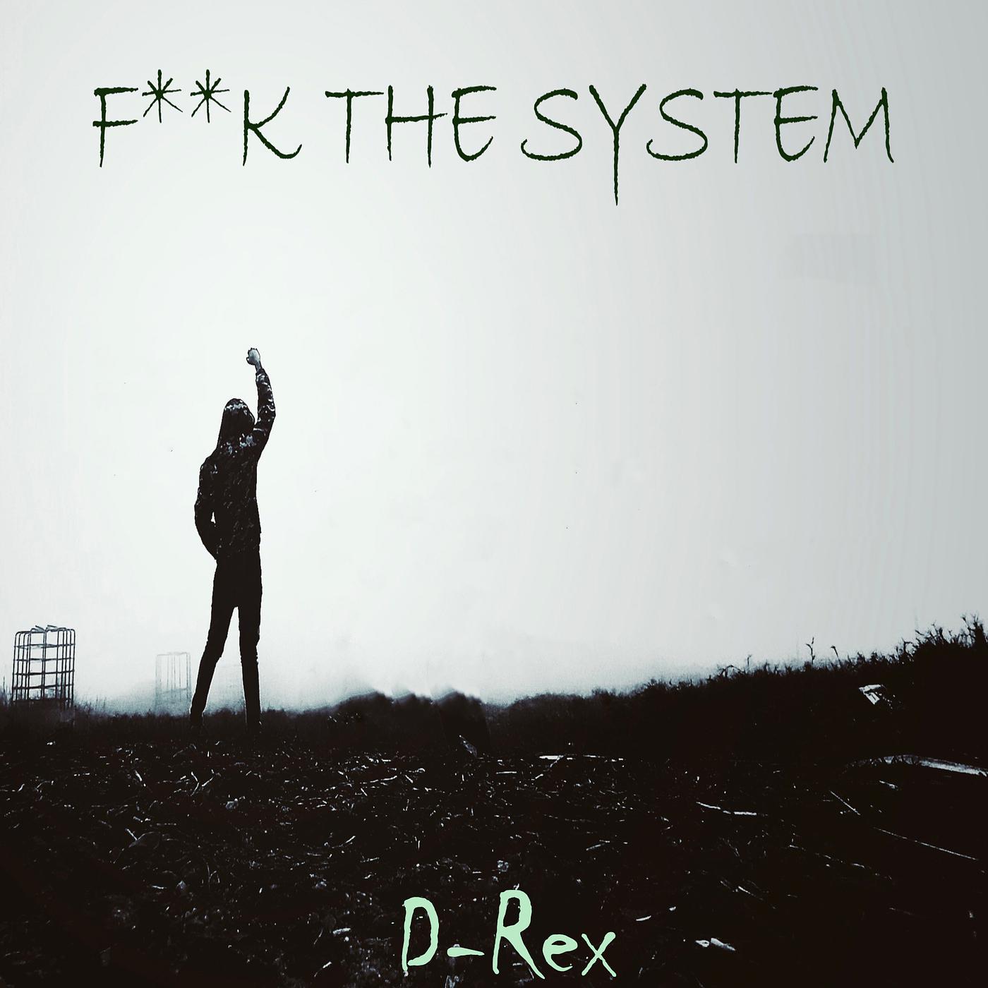 Постер альбома Fuck the System