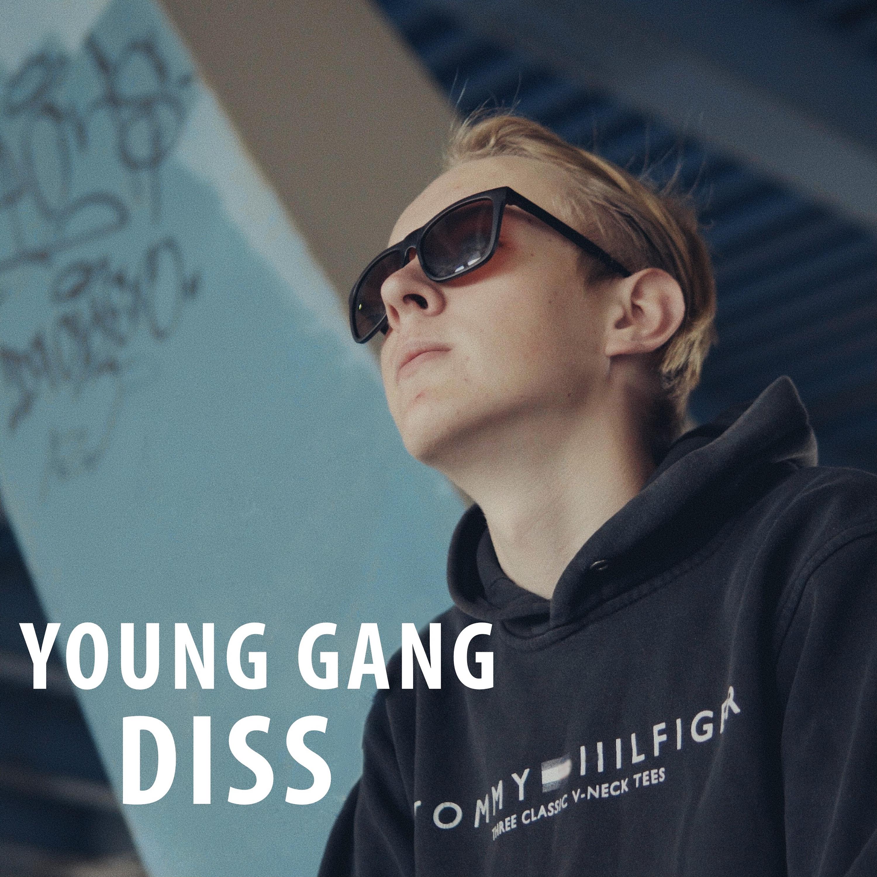 Постер альбома Young Gang Diss