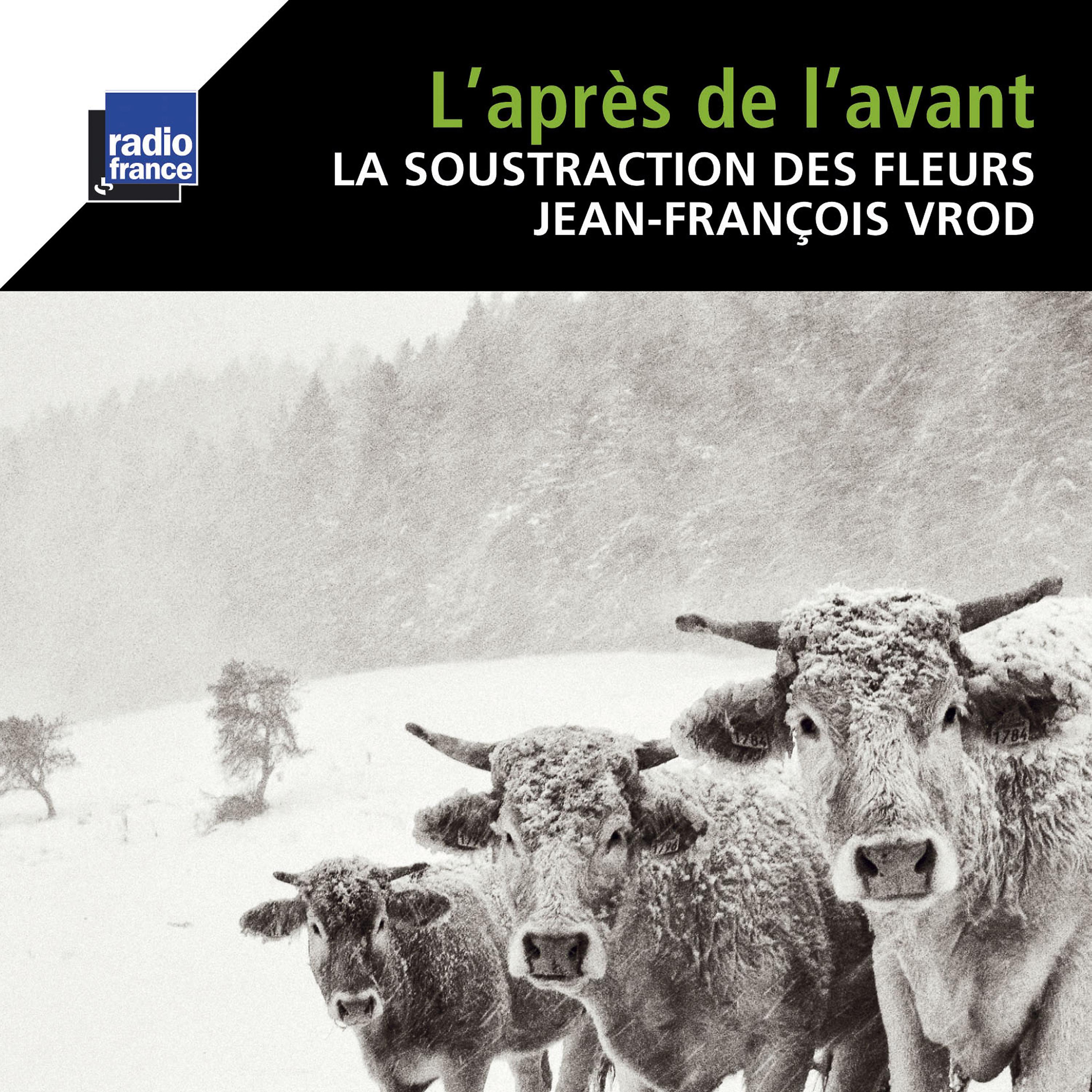 Постер альбома Vrod: L'après de l'avant