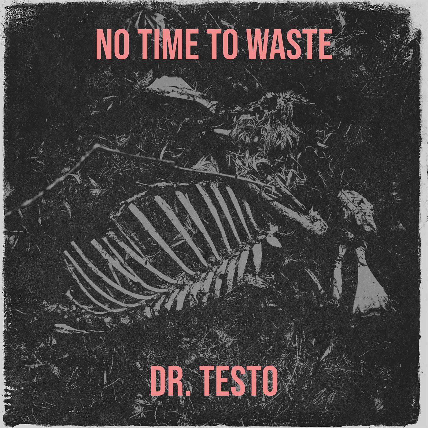 Постер альбома No time to waste