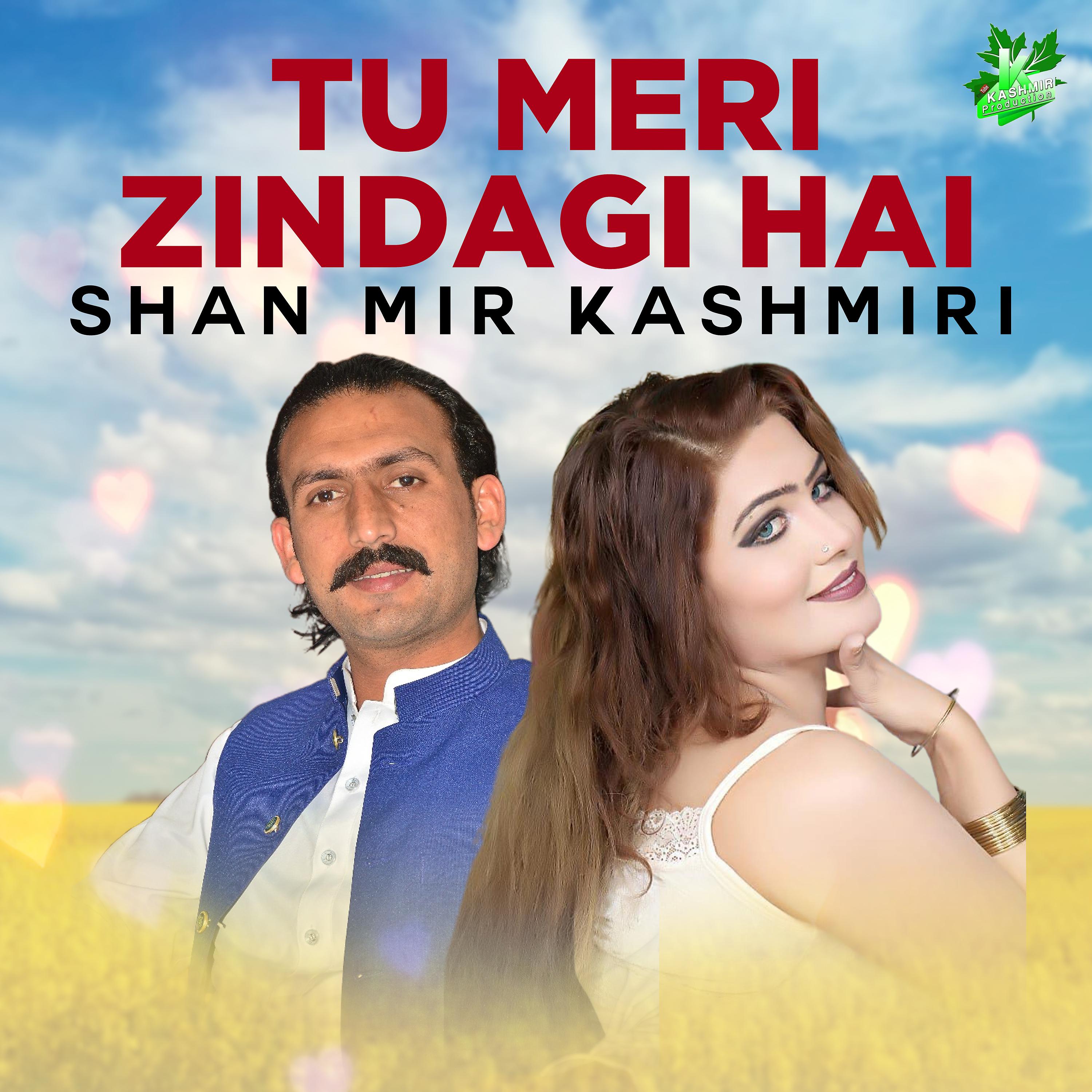 Постер альбома Tu Meri Zindagi Hai