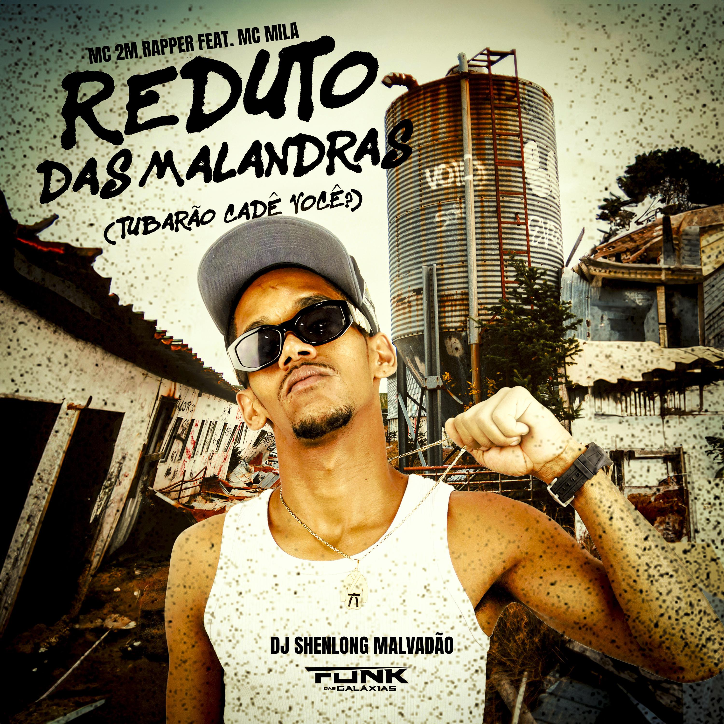 Постер альбома Reduto das Malandras