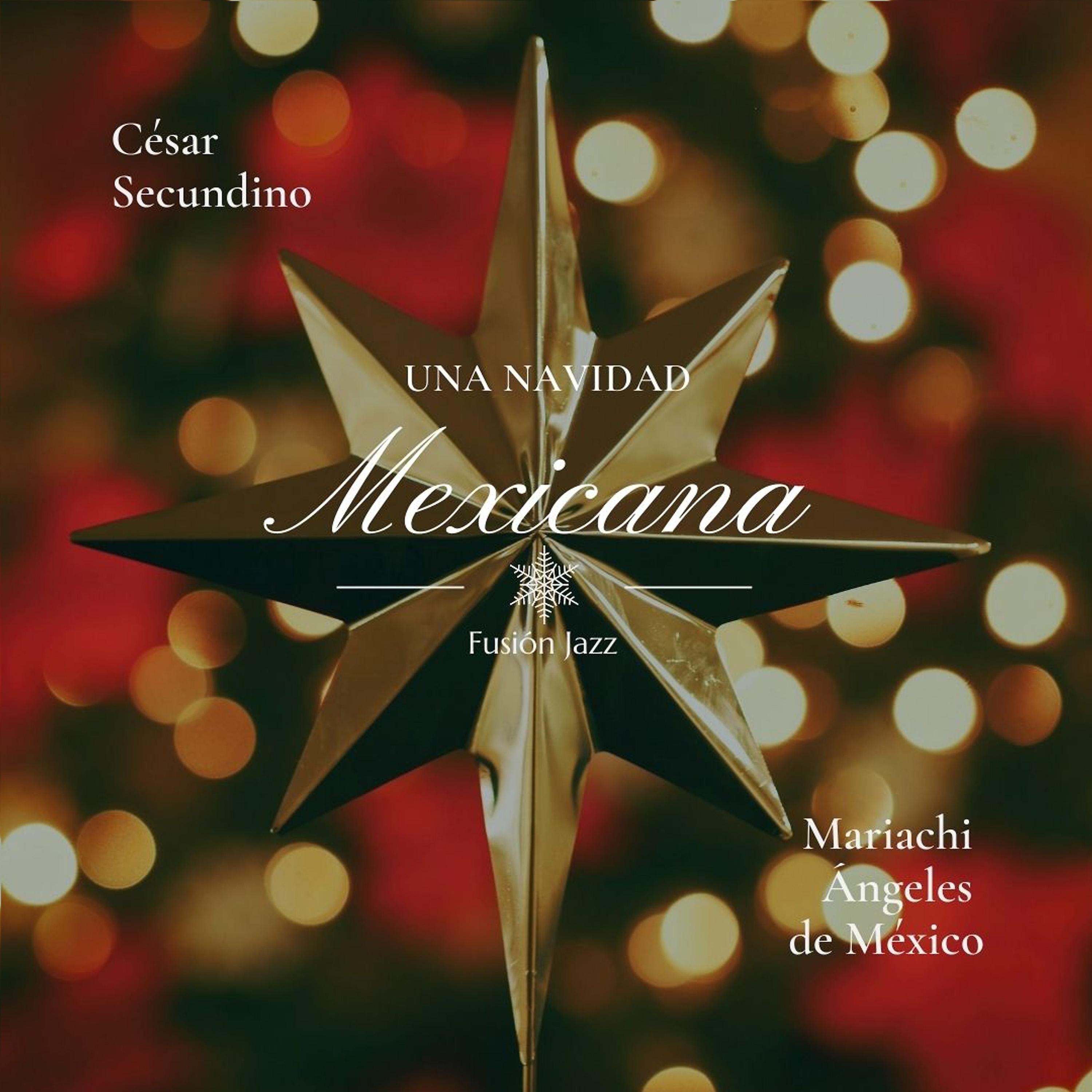 Постер альбома Una Navidad Mexicana