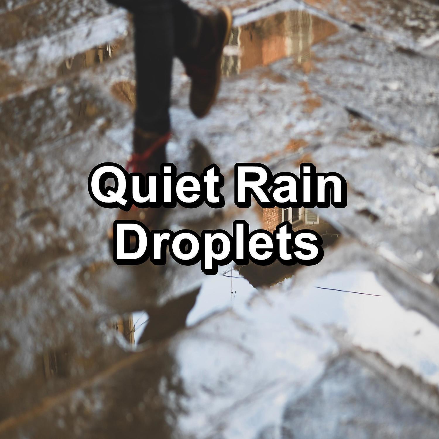 Постер альбома Quiet Rain Droplets