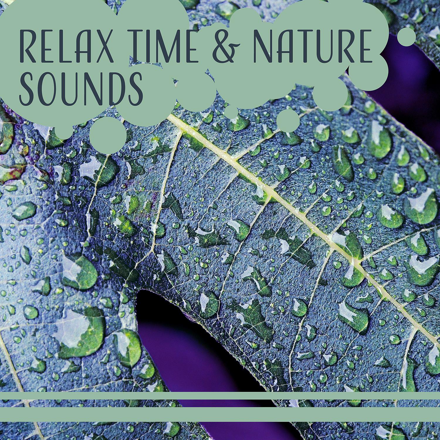 Постер альбома Relax Time & Nature Sounds – Pure Sounds of Nature, New Age Music Therapy For Stress