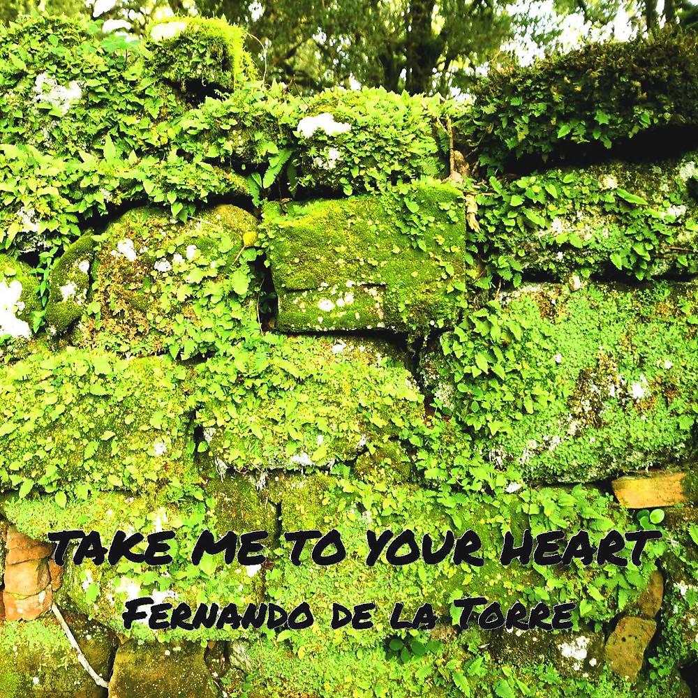 Постер альбома Take Me to Your Heart